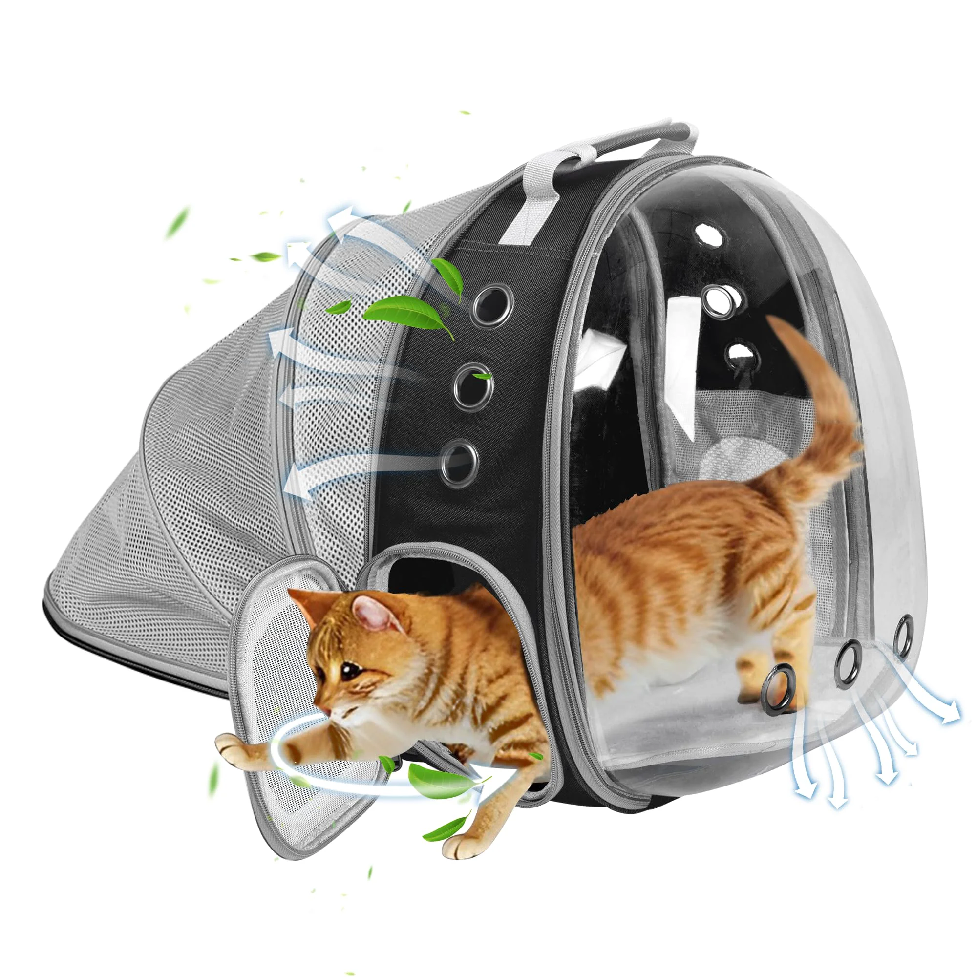 Premium TOYSINTHEBOX Cat Backpack Carrier with Back-Expandable Bubble Window – Travel Backpack for Cats Kittens Small Dogs Black Efficient