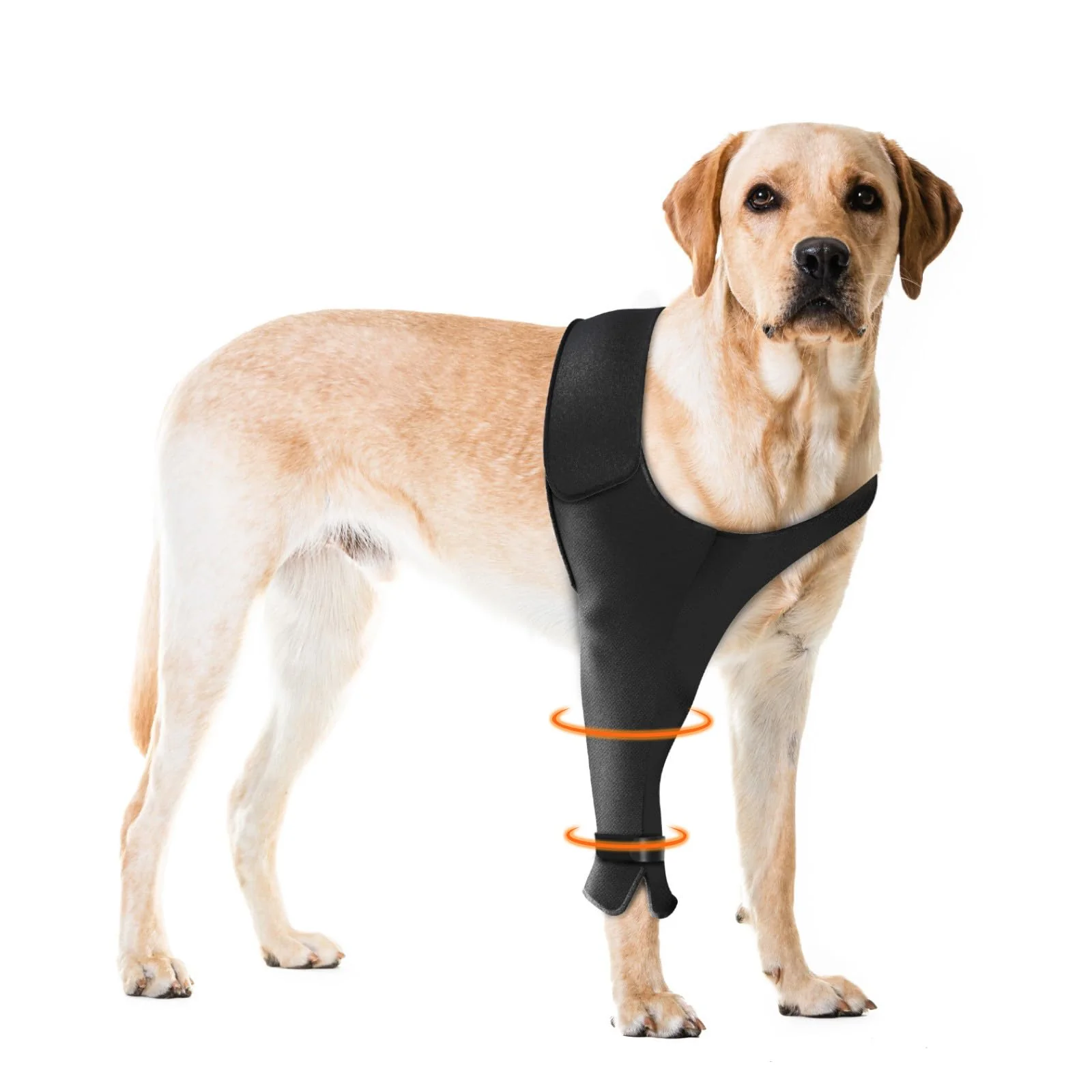 Long-Lasting Pawfun Front Leg Recovery Sleeve – Right Front Leg 2XL Breathable Protection for Dogs Safe