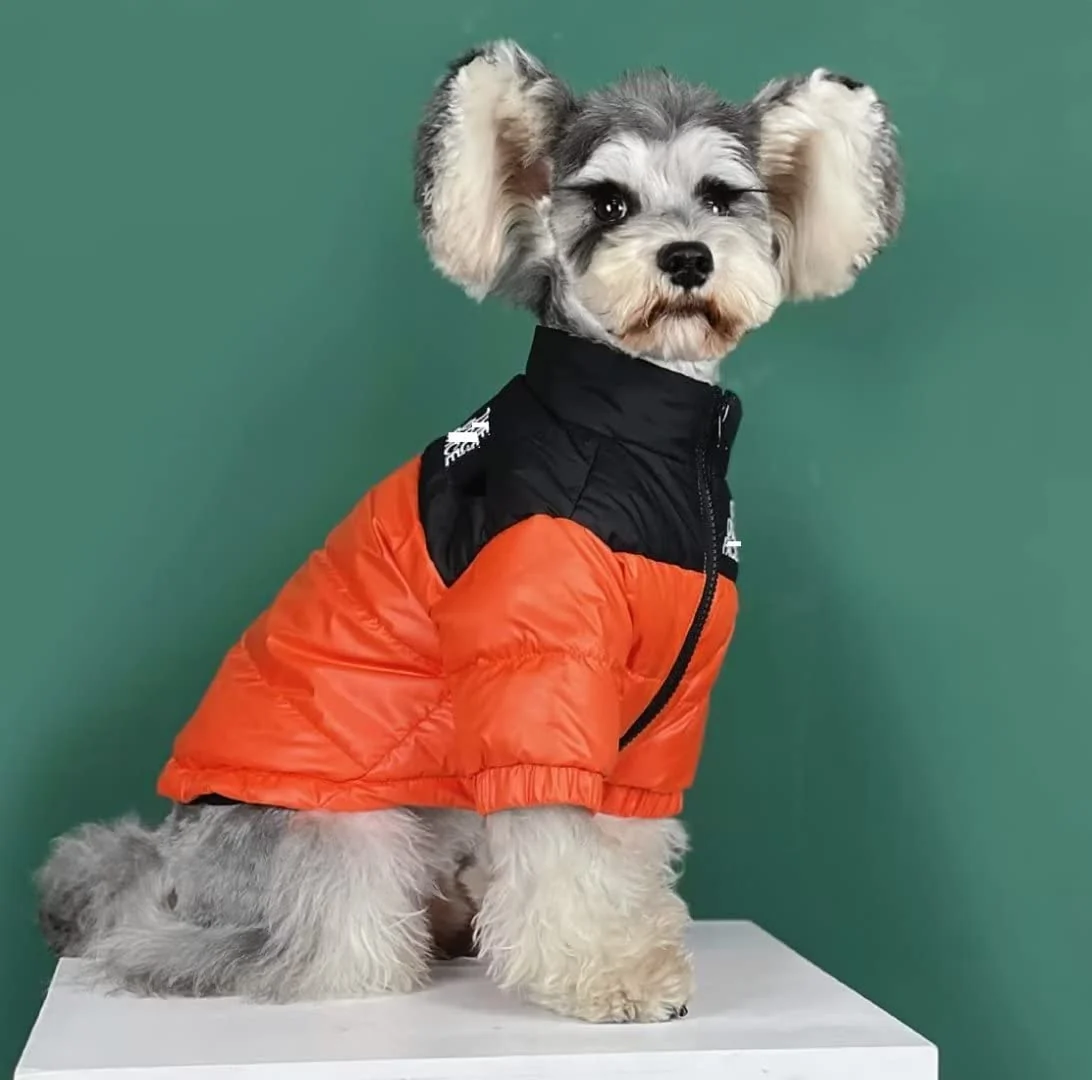 Trendy PQIQP Dog Winter Coat Duck Down Jacket for Small to Medium Dogs – Orange Small Lightweight