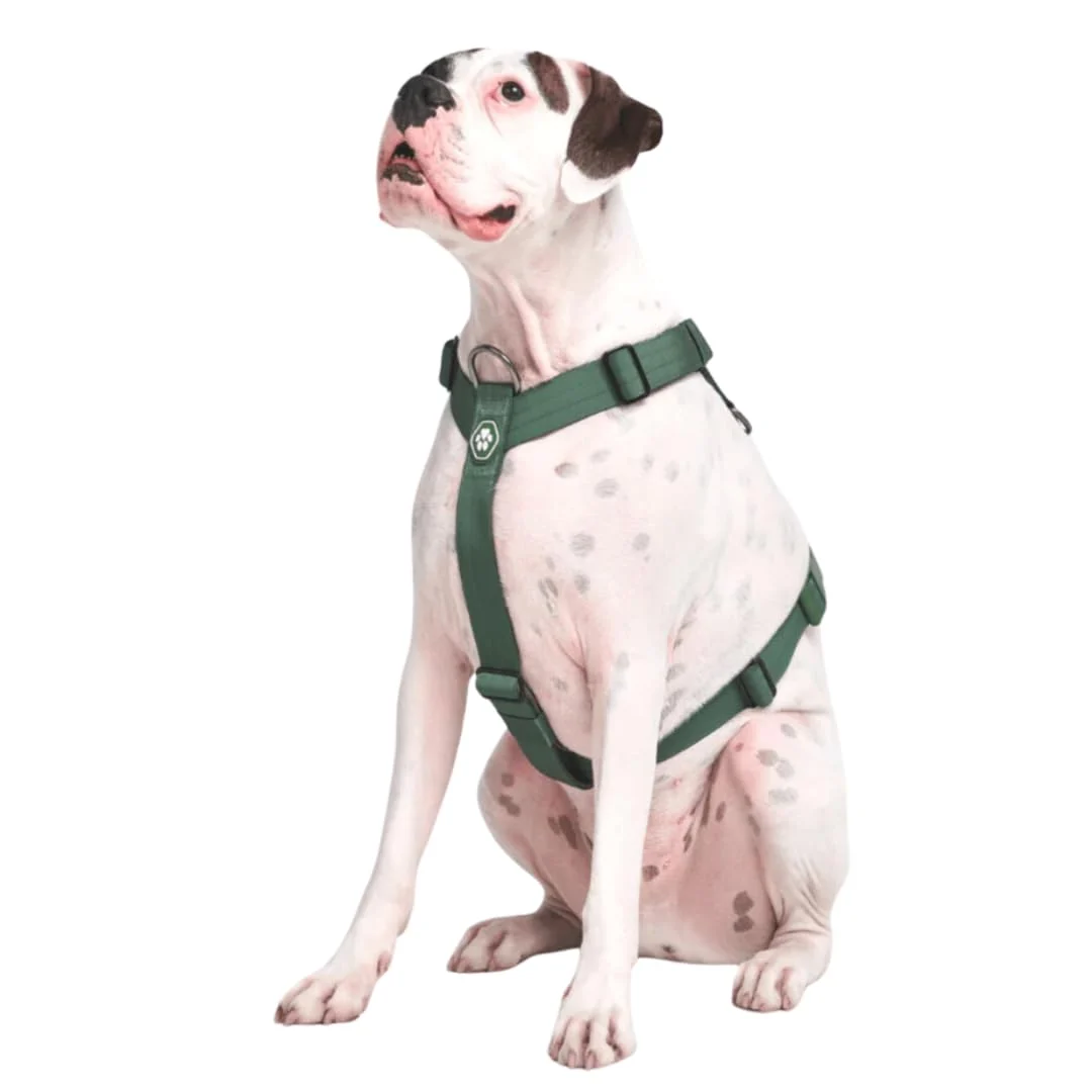 Optimized Spark Paws No-Pull Harness for Large Dogs – Heavy-Duty Front Clip Adjustable Y-Shaped Padding Solid Green Size S Premium