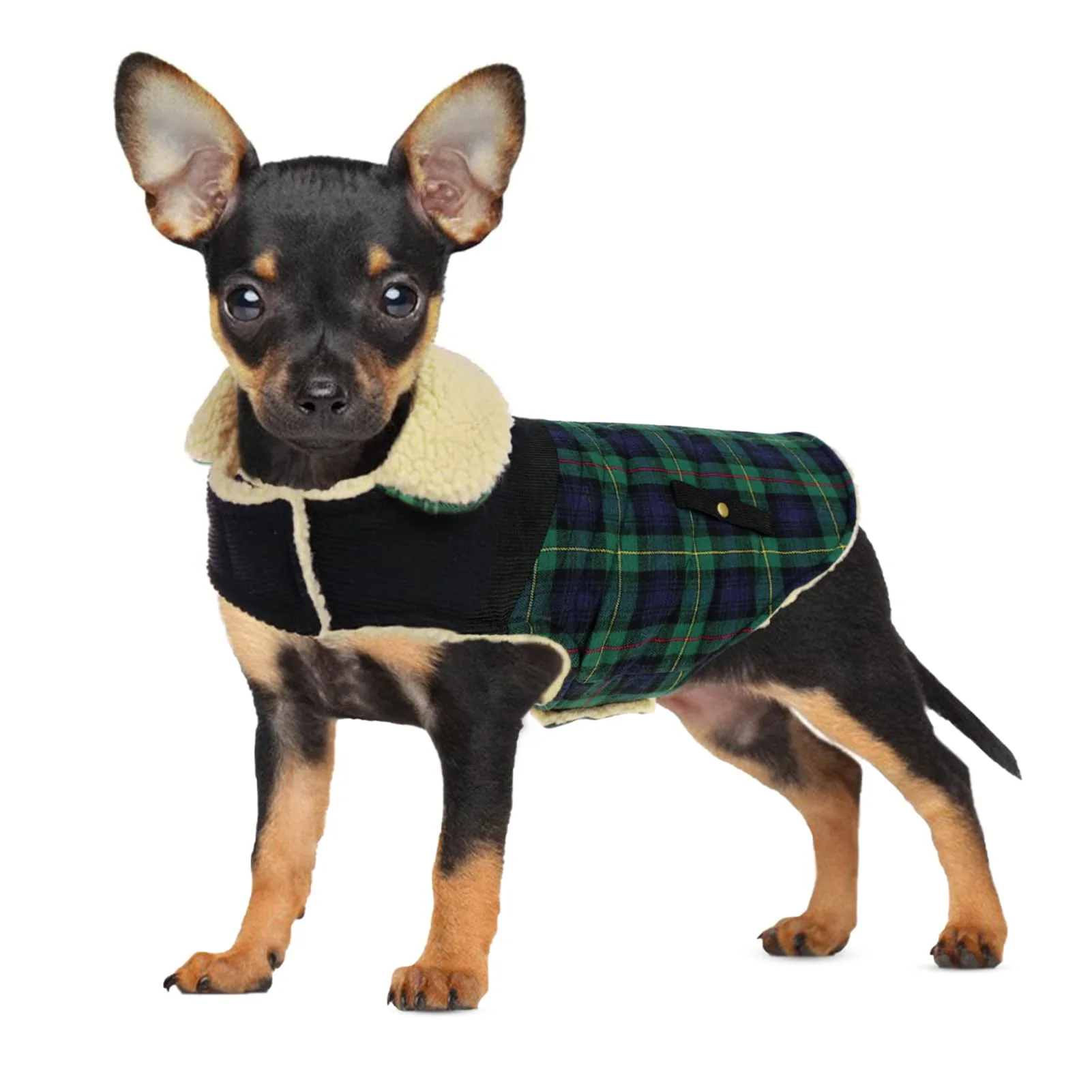 Eco-Friendly Preferhouse Winter Coat for Small Medium Dogs - Green XS Plaid Cotton Jacket Reliable