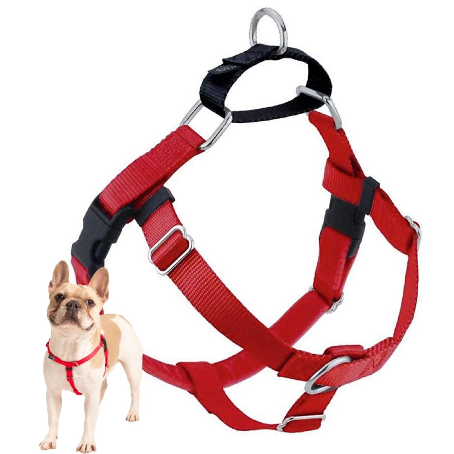 Fast 2 Hounds Design dom No Pull Harness — Adjustable Made in USA Front O-Ring 1 LG Red Recyclable