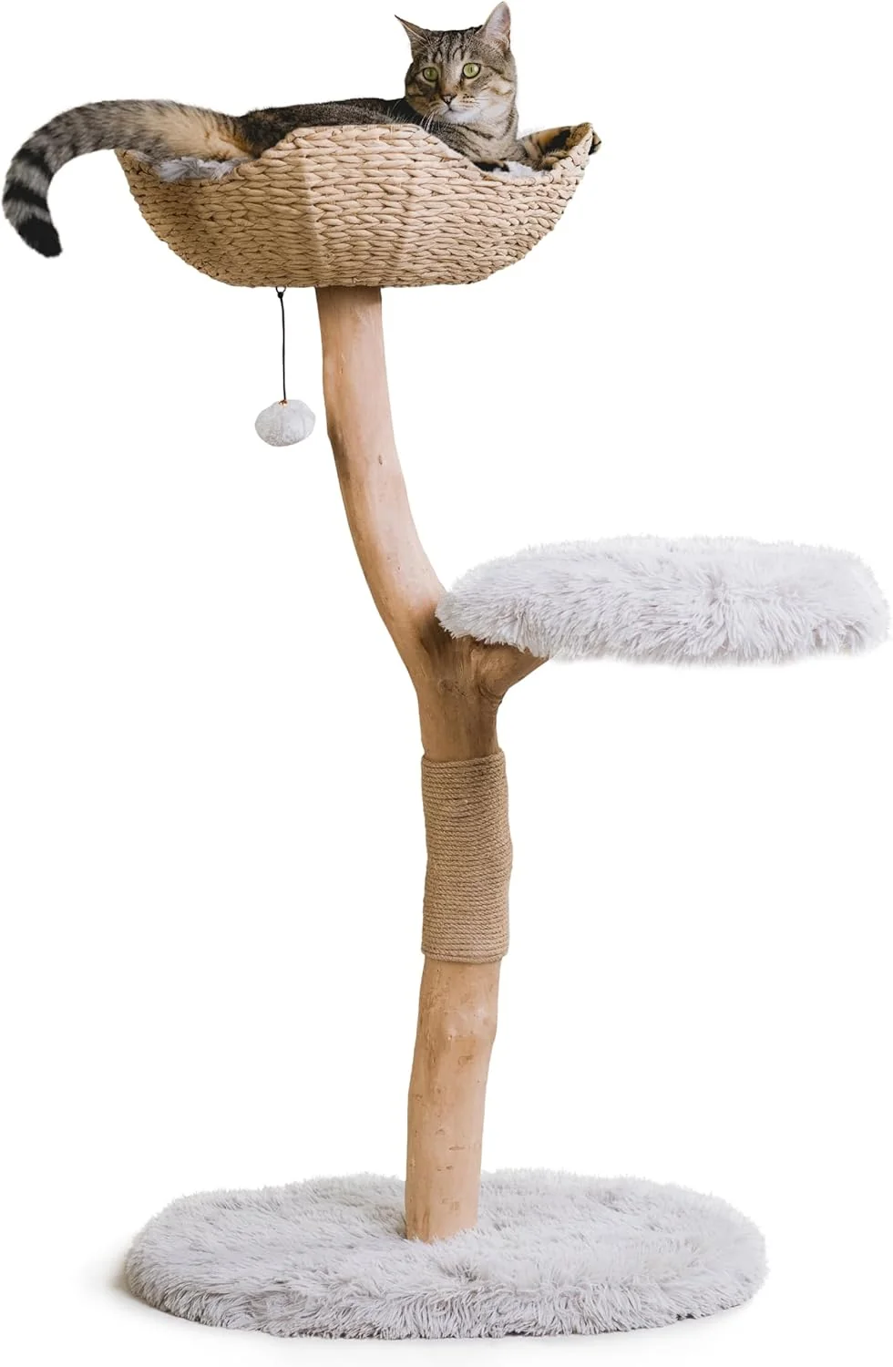 Advanced Wooden Cat Tree Tower Modern Single Branch Cat Condo Wood Cat Tree Cat Climbing Furniture for Cat Cat Lover Gift Cat Furniture Cat Gift by MAU LIFESTYLE Bullet Gray Contemporary
