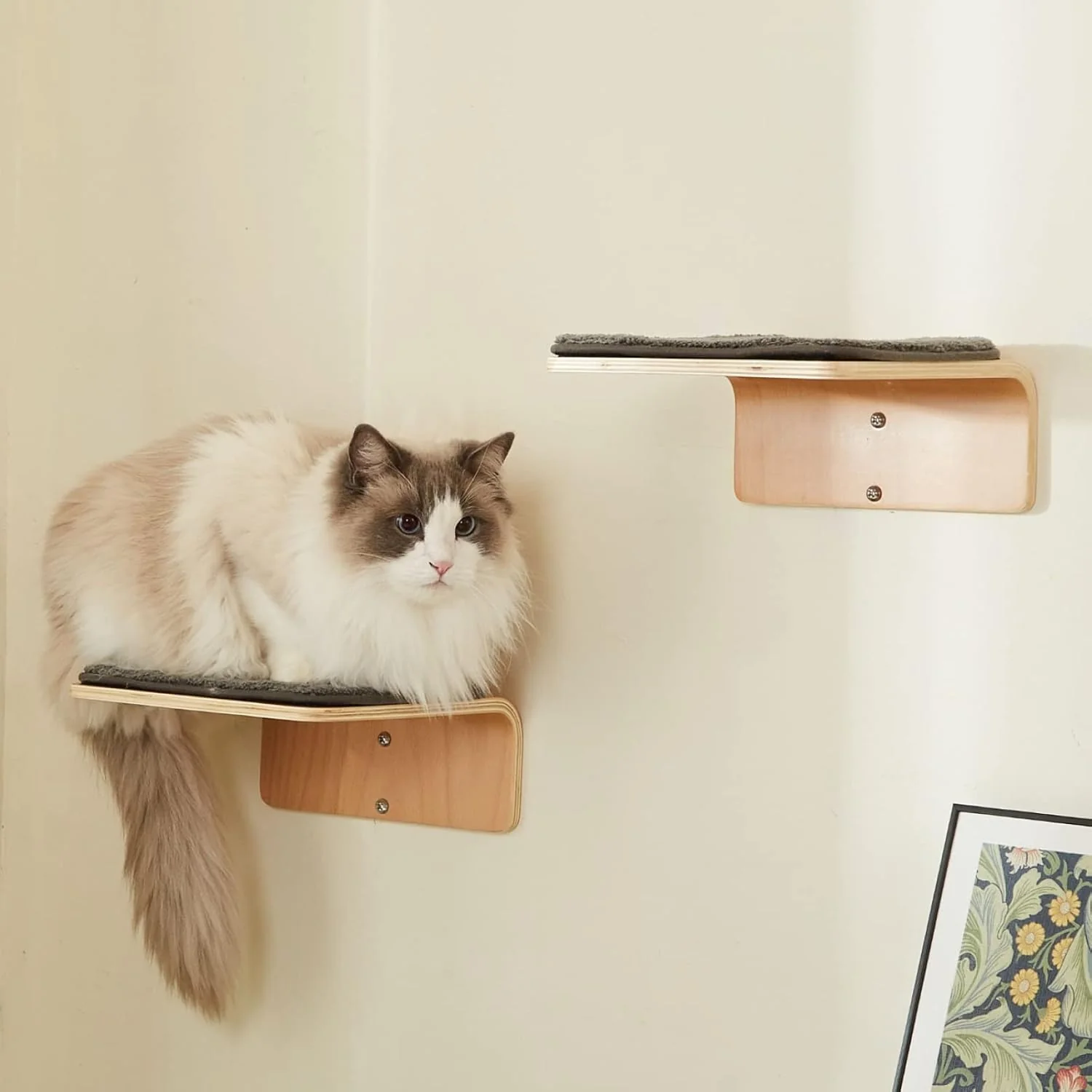 Trendy 2 Set Cat Wall Steps - Wooden Cat Climbing Shelf for Wall - Cats Wall Stairs with Scratching Mat - Wall Mounted Cats Furniture for Jumping Playing and Lounging Effective