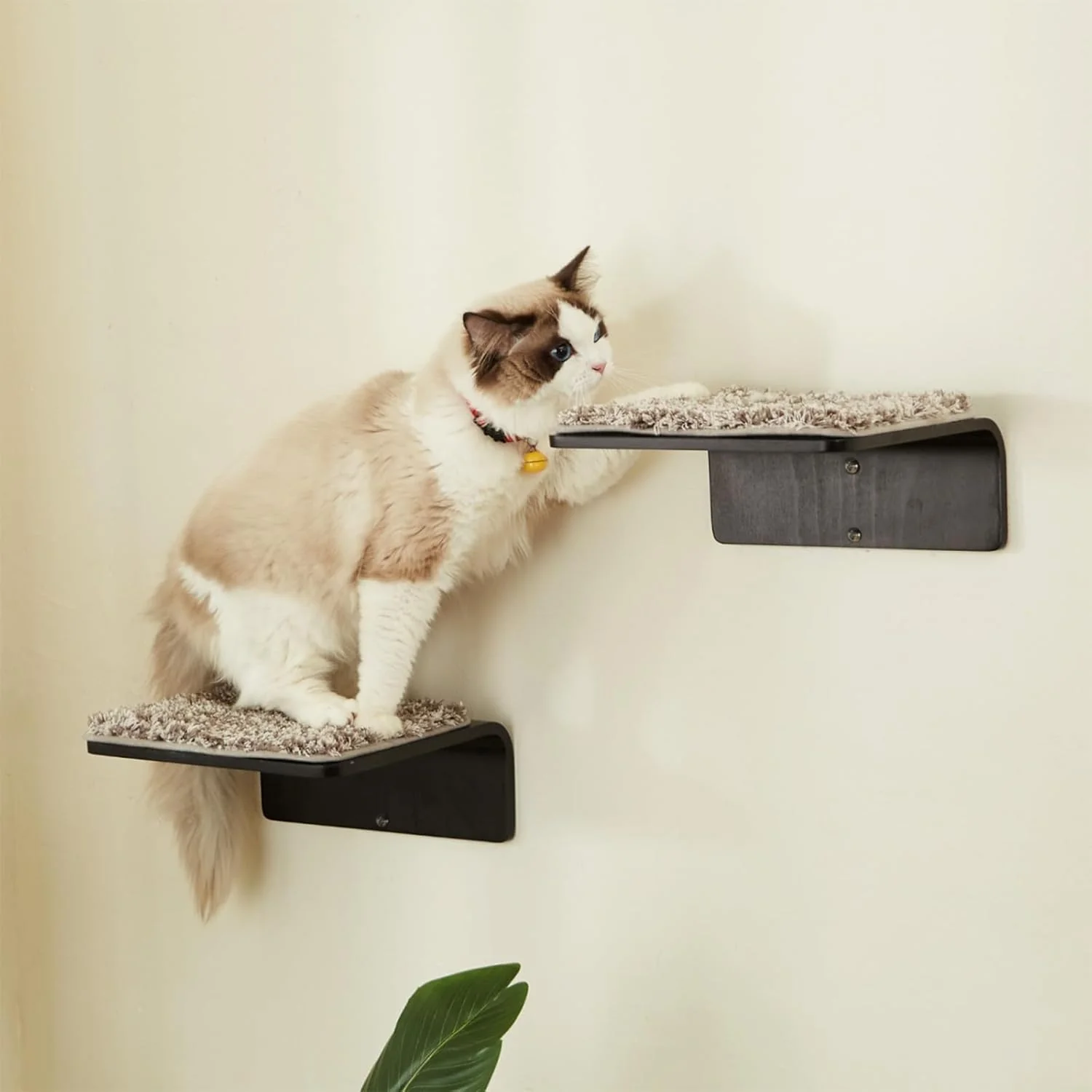 Smart 2 Set Cat Wall Steps - Wooden Cat Climbing Shelf for Wall - Cats Wall Stairs with Scratching Mat - Wall Mounted Cats Furniture for Jumping Playing and Lounging Walnut Sophisticated