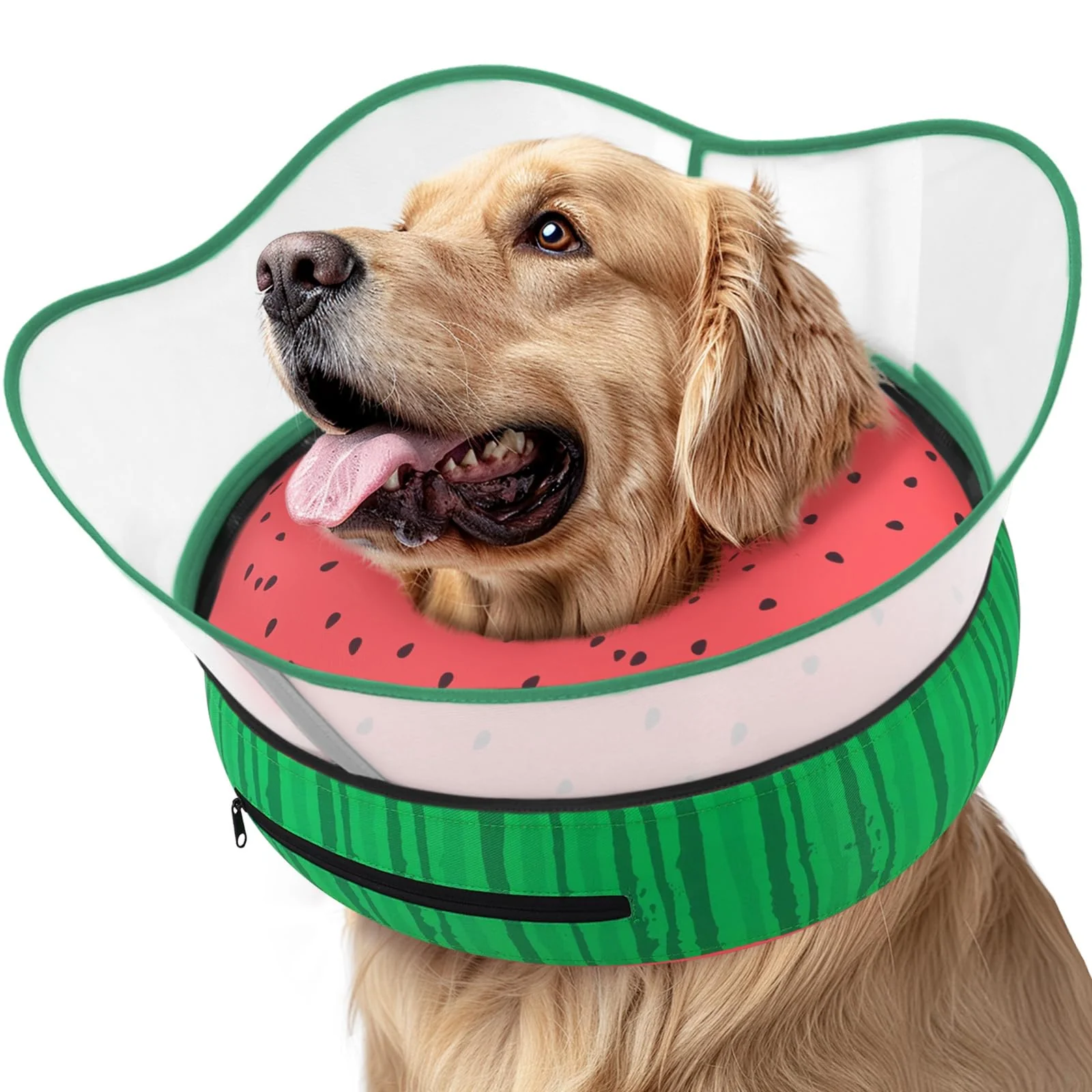 Specialty Supet Raised Inflatable Dog Cone Collar — Soft Donut Recovery Collar for Dogs Stylish