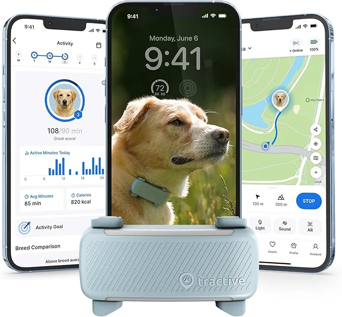 Practical Tractive Smart Dog GPS Tracker Live Pet Tracker Minimalist