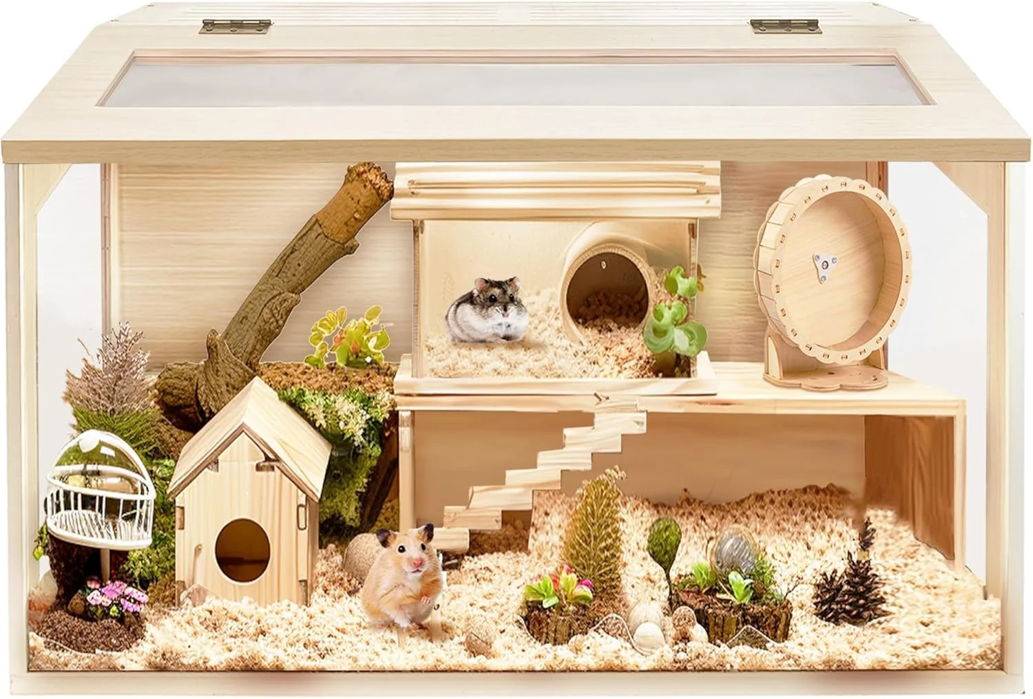 Casual Prolee Hamster Cage Chew Proof Mice and Rat Habitat Openable Top with Acrylic Sheets Hamster Habitat Solid Built 24 L x 16 W x 16 H First-Class