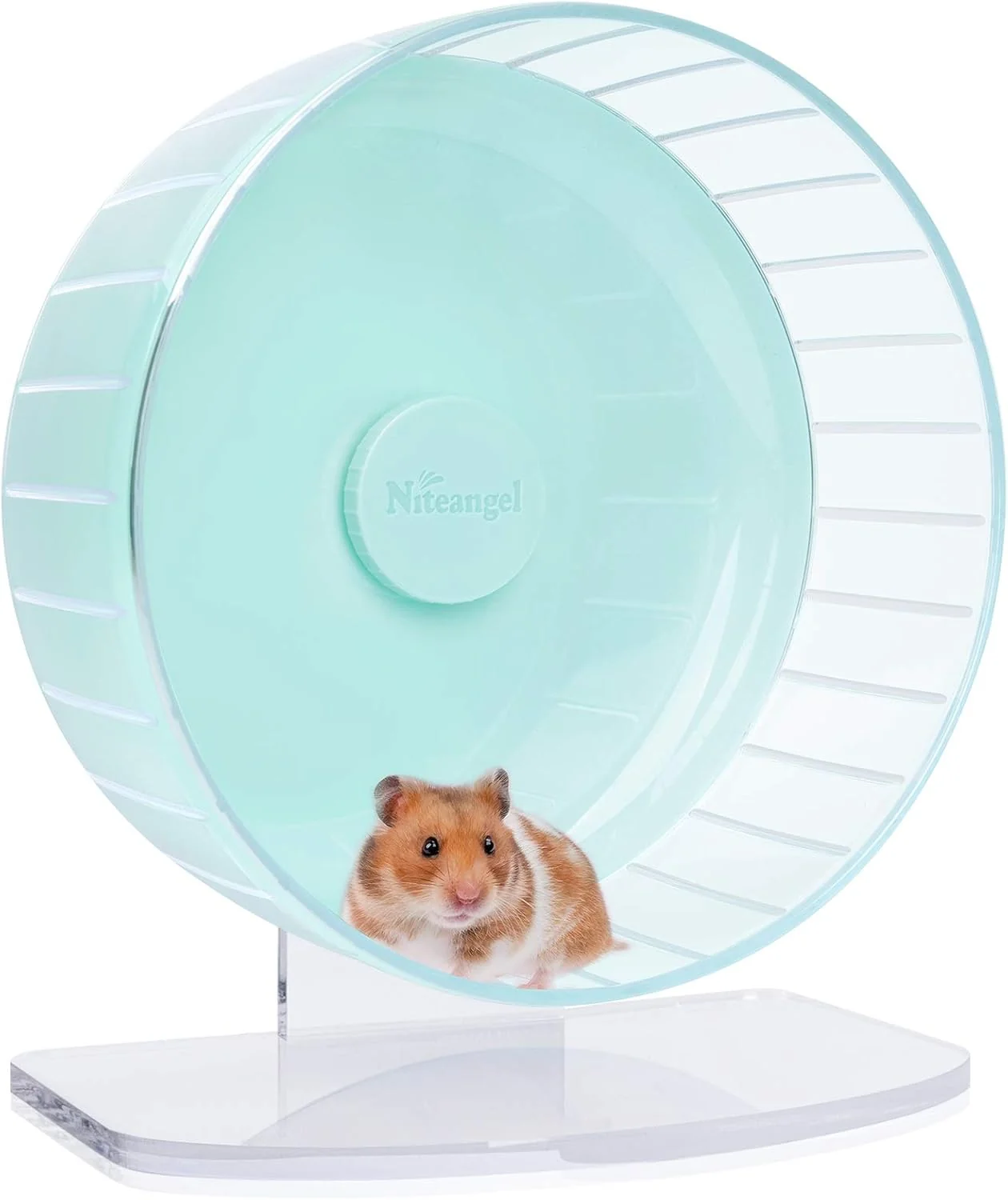 Efficient Niteangel Super-Silent Hamster Exercise Wheels - Quiet Spinner Hamster Running Wheels with Adjustable Stand for Hamsters Gerbils Mice Or Other Small Animals L Mint Green Contemporary
