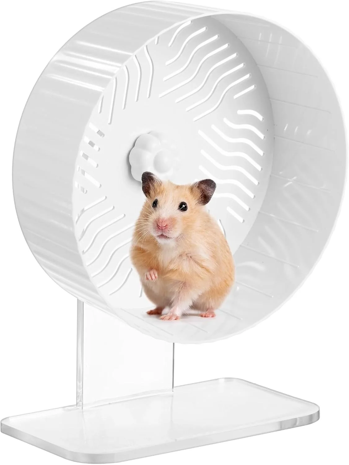 Traditional Silent Hamster Wheel Hamster Exercise Wheel with Adjustable Acrylic Stand Hamster Exercise Wheel for Gerbil Syrian Dwarf Chinchilla and More Small Animal Hamster Running Wheels 8.2 in Fashionable