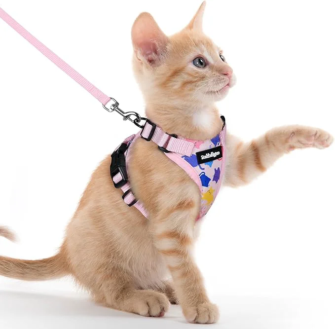 Certified rabbitgoo Cat Harness and Leash for Walking Escape Proof Soft Adjustable Vest Harnesses for Cats Easy Control Breathable Reflective Strips Jacket Purrty Pink XXSAbout ThisOverview High-End