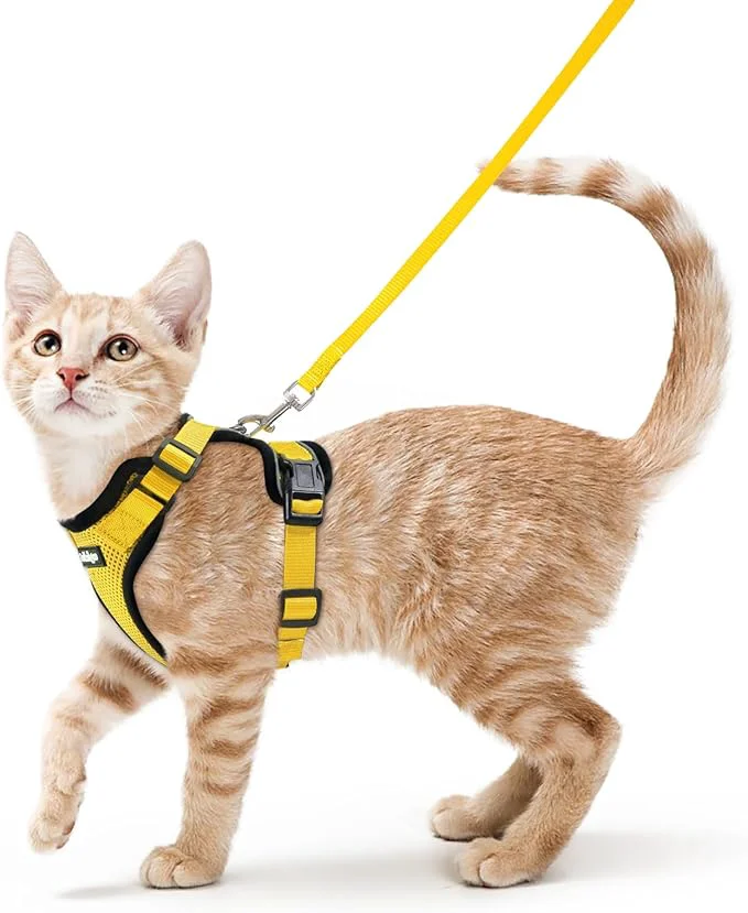 Casual rabbitgoo Cat Harness and Leash for Walking Escape Proof Soft Adjustable Vest Harnesses for Cats Easy Control Breathable Reflective Strips Jacket Yellow SAbout ThisOverview Specialty