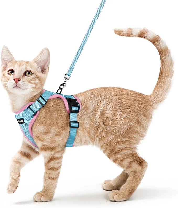 World-Class rabbitgoo Cat Harness and Leash for Walking Escape Proof Soft Adjustable Vest Harnesses for Cats Easy Control Breathable Reflective Strips Jacket Light Blue Pink XSAbout ThisOverview Classic