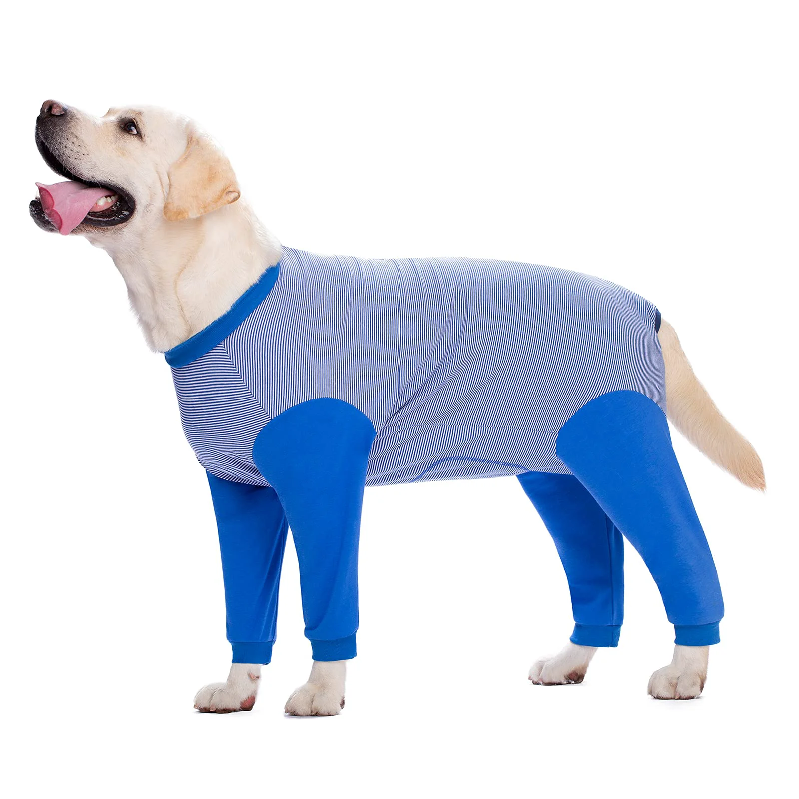 Detailed Yeapeeto Dog Recovery Suit 7X-Large – Full-Body Cone- for Large Dogs Functional