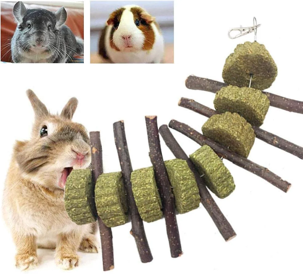 Luxury Bunny Chew Toys for Teeth Organic Apple Wood Molar Sticks with Timothy Hay Circles for Bunny Chinchilla Guinea Pig Hamsters Holland Lop Prairie Dogs Squirrels Gerbils Improves Dental Health Premium Material