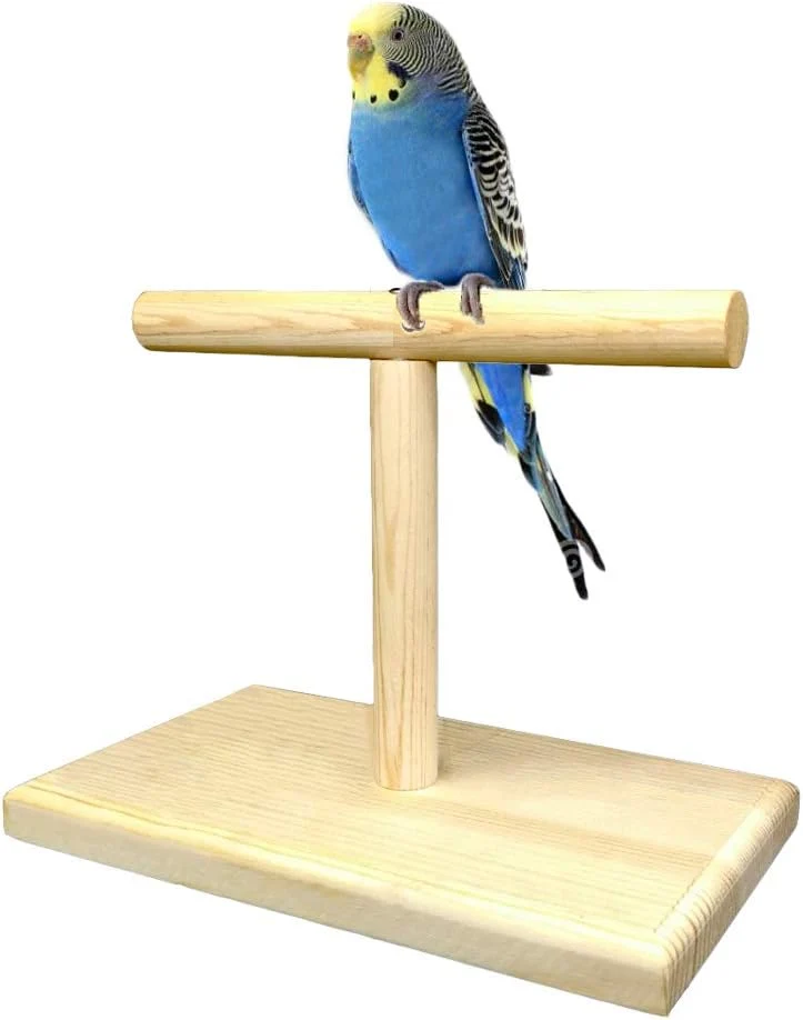 Advanced LINSHRY Bird Training Stand Portable Tabletop Bird Perch Spin Training Perch for Parakeets Conures Lovebirds or Cockatiels Smart
