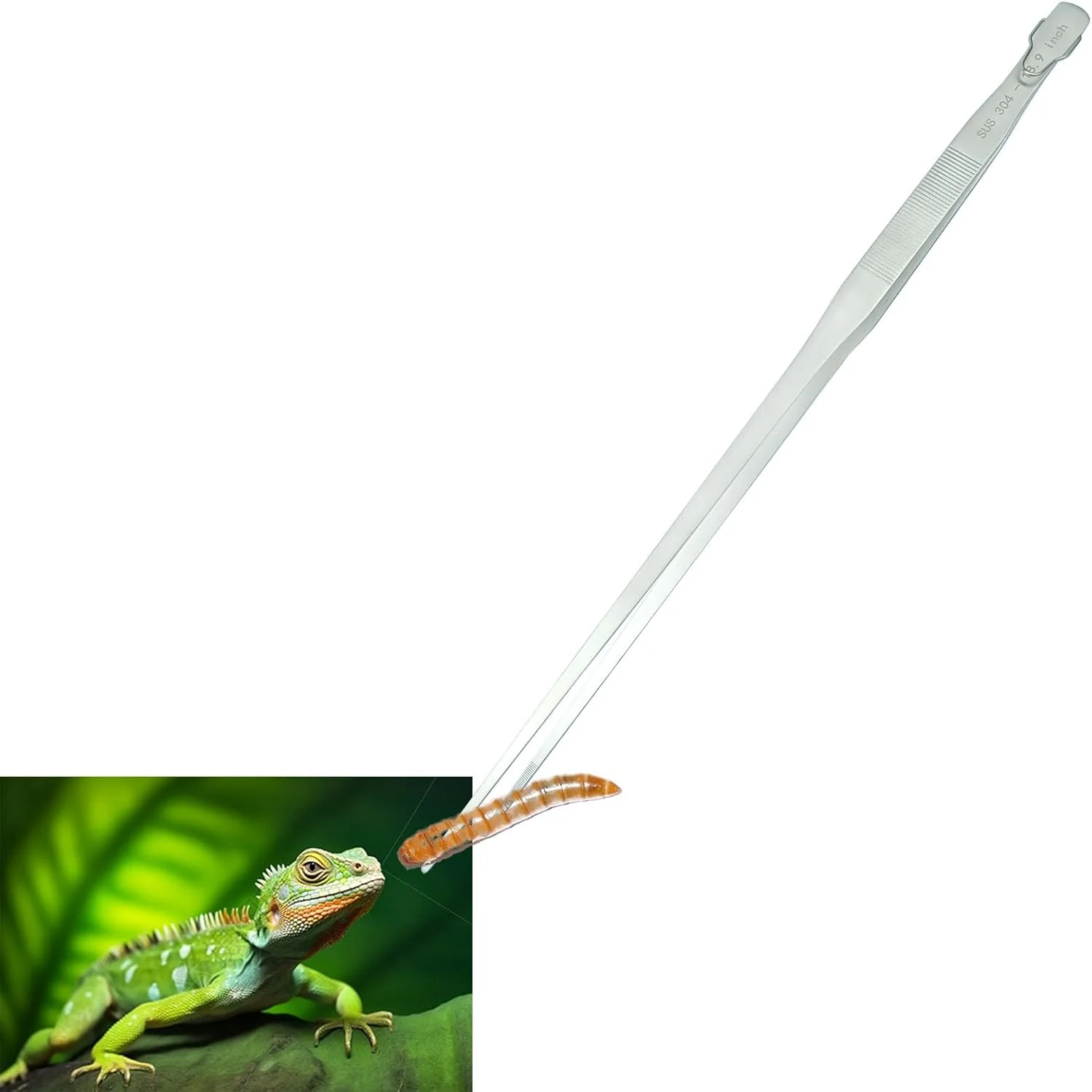 Dependable 18.9 inch Aquarium Tweezers with Hanger 2025 New Extra Long Feeding Tongs Stainless Steel Large Aquascape Tools for Fish Tank Terrarium，Aquascaping Reptile Snake Straight Clean