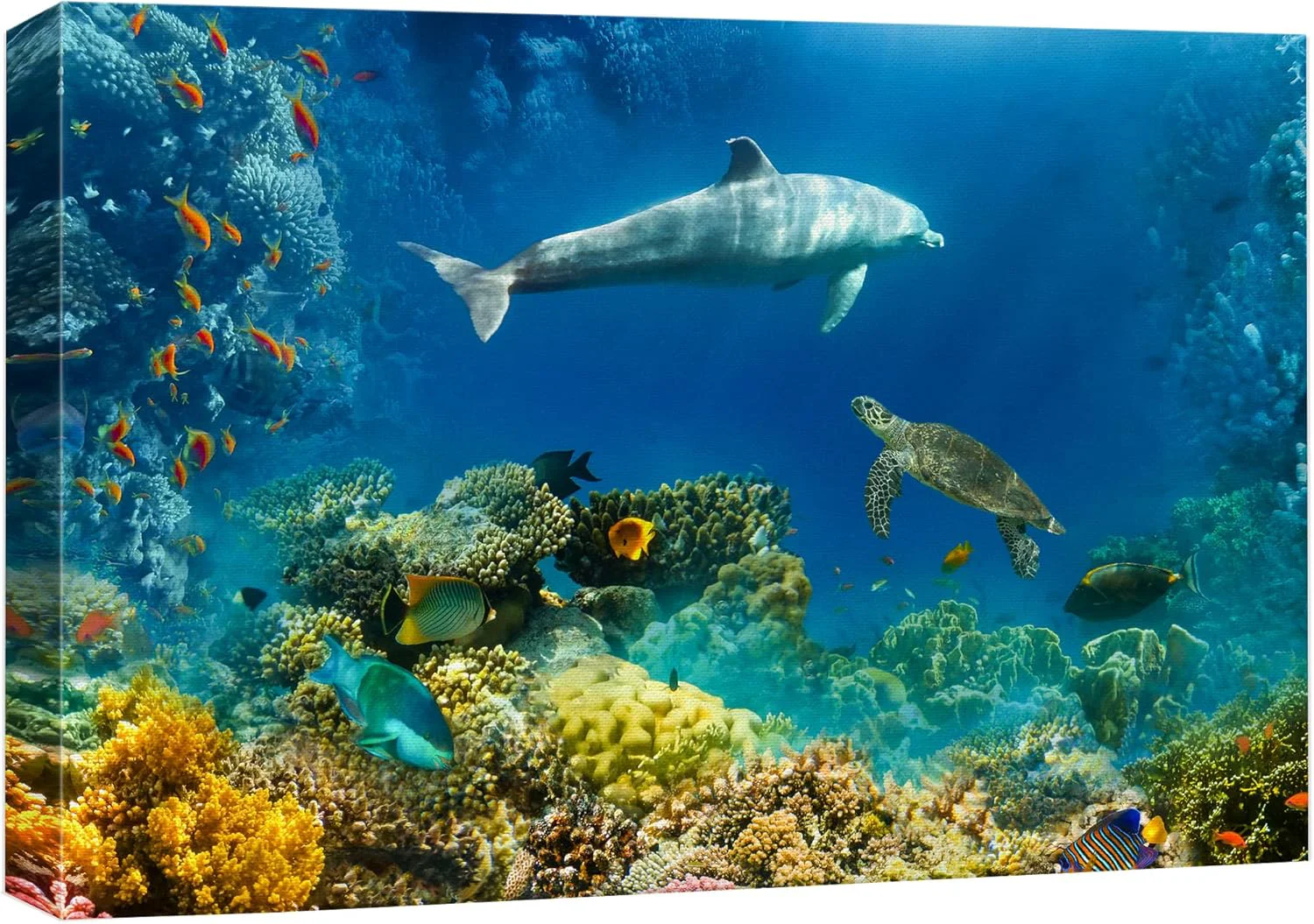 Trendy wall26 Canvas Print Wall Art Tropical Ocean Underwater Dolphin Coral Reef Nature Animals Photography ism Rustic Scenic Landscape Wilderness Colorful for Living Room Bedroom Office - 32 x48 Luxury