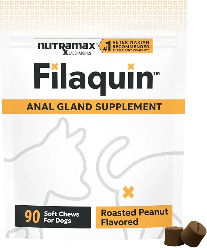 Trusted Nutramax Filaquin Anal Gland Supplement for Dogs from The Same Company as Cosequin Proviable with Pre Postbiotics and Psyllium Husk Fiber to Support Anal Gland Health 90 Count Soft ChewsAbout ThisOverview Premium