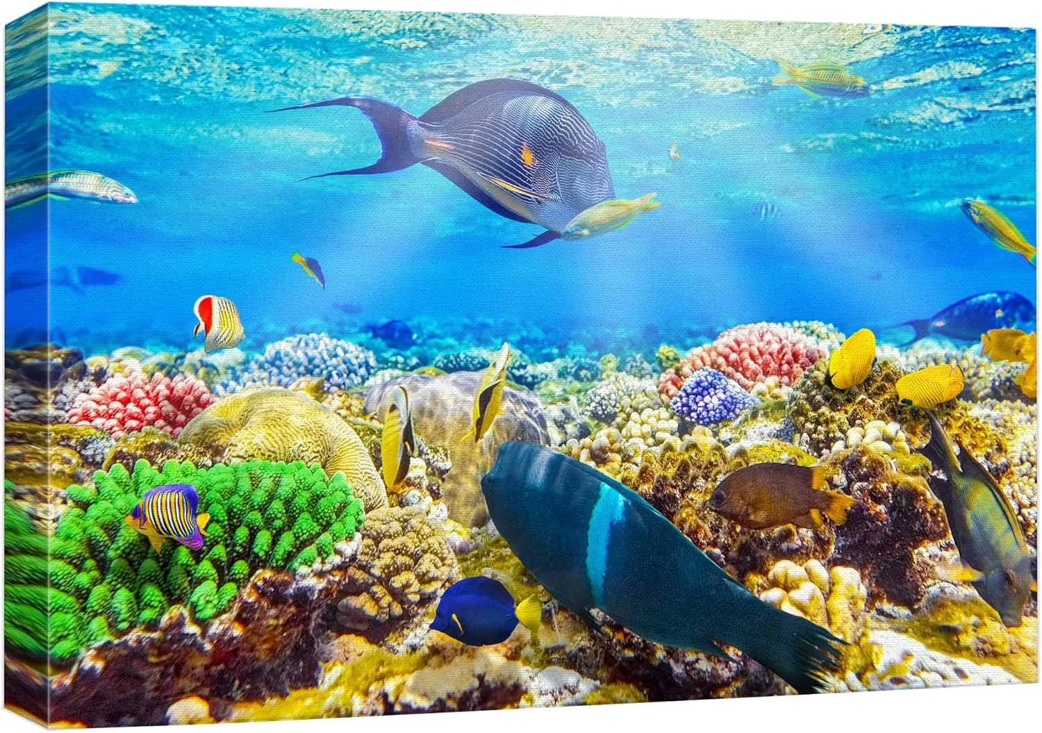 Advanced wall26 Canvas Print Wall Art Sunlight Ocean Sea Coral Reef Anemone Fish Nature Animals Photography ism Rustic Scenic Landscape Wilderness Earth for Living Room Bedroom Office - 16 x24 Premium Material