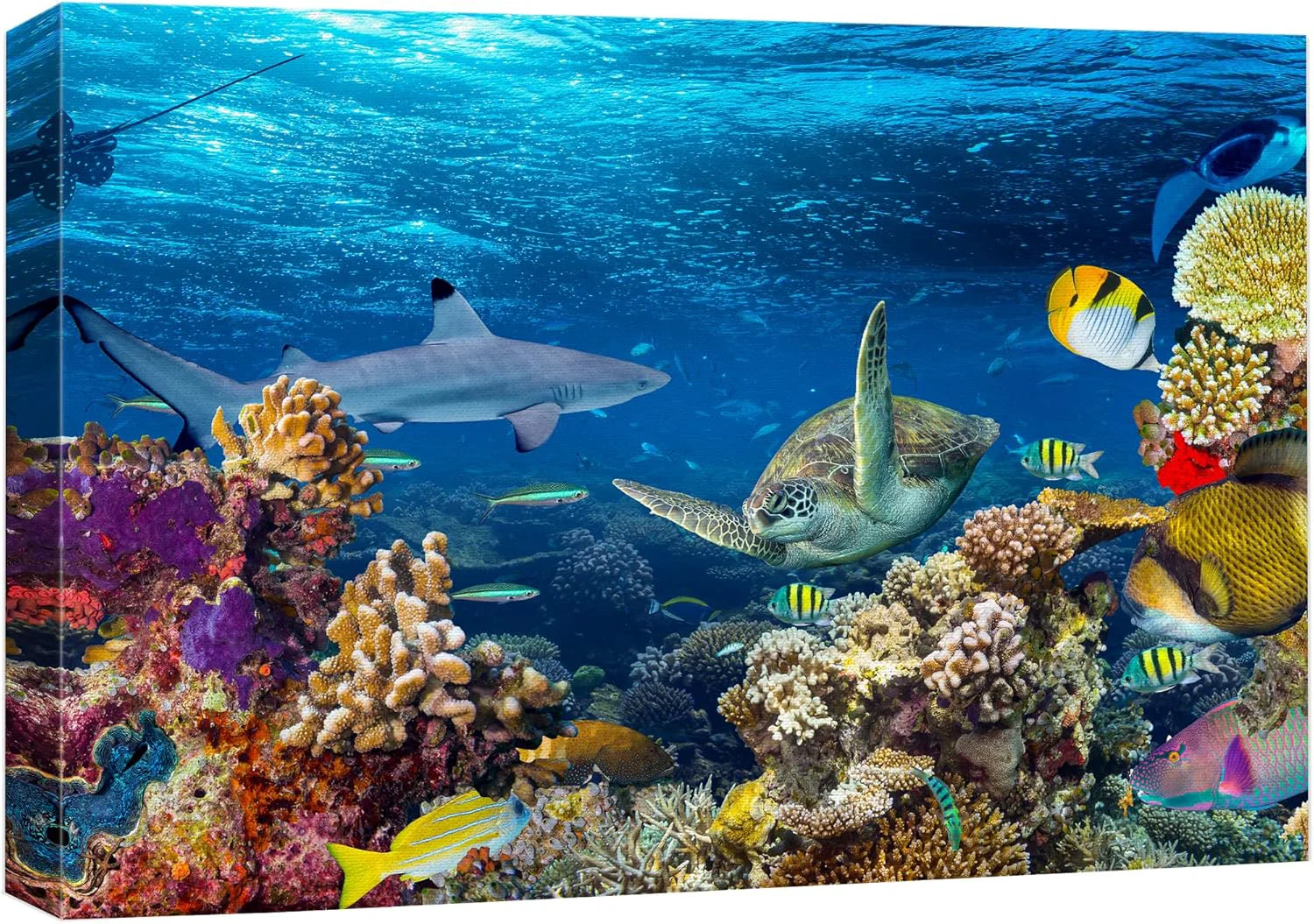 Safe wall26 Canvas Print Wall Art Tropical Island Underwater Turtle Shark Nature Animals Photography ism Rustic Scenic Landscape Wilderness Earth Colorful for Living Room Bedroom Office - 12 x18 Recyclable