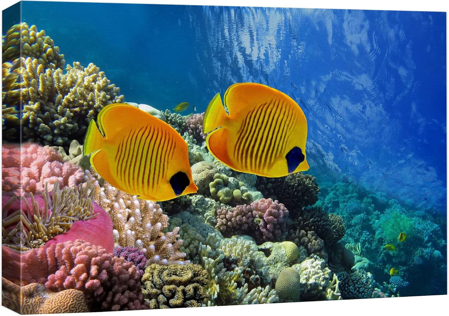 Functional wall26 Canvas Print Wall Art Tropical Yellow Fish with Vibrant Coral Reef Nature Ocean Photography ism Nautical Scenic Relax Calm Multicolor Ultra for Living Room Bedroom Office - 16 x24 Durable