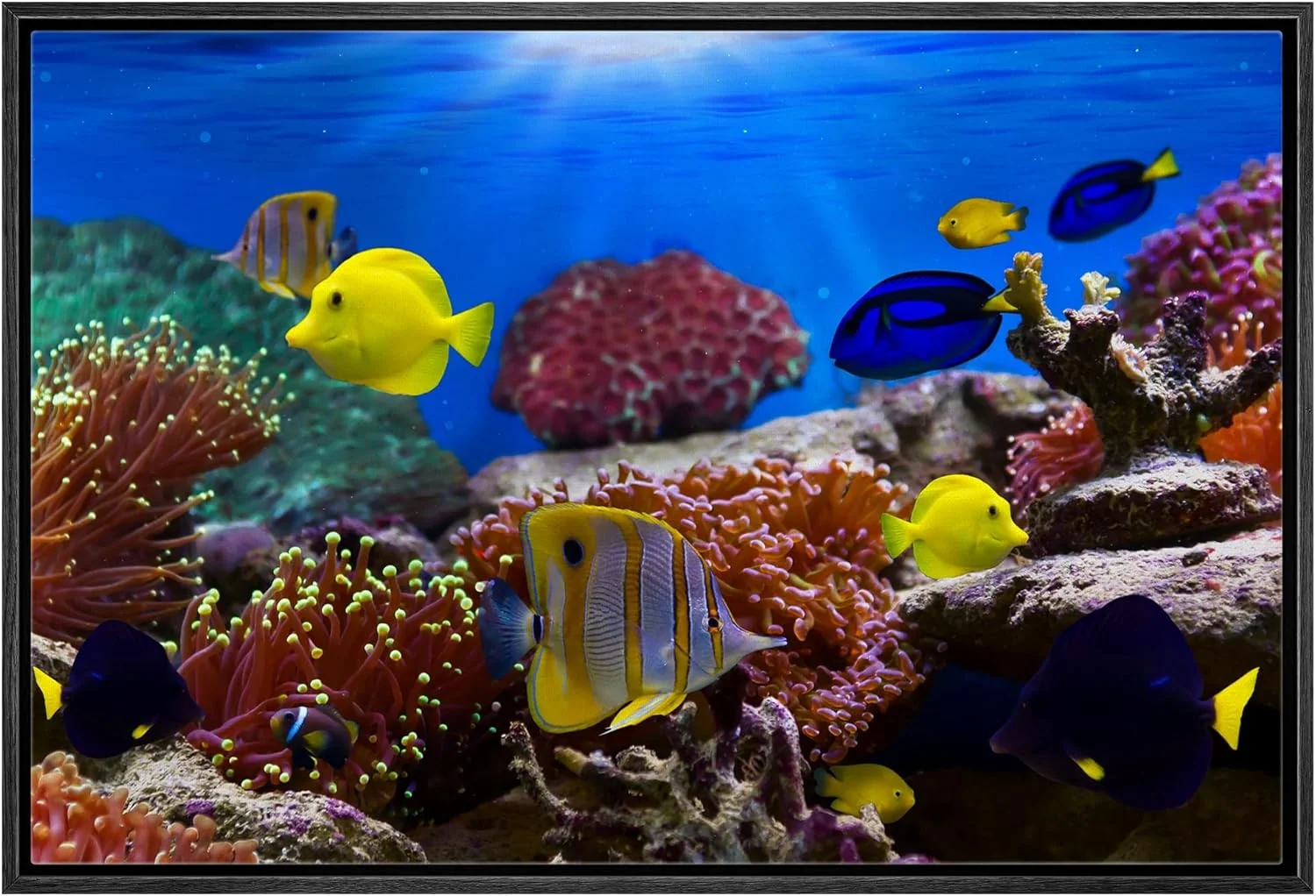 Natural wall26 Framed Canvas Wall Art - Coral Reef and Tropical Fish Under The Ocean Modern Home Art Framed Canvas Prints Gallery Wrap Giclee Printing Ready to Hang - 24 x36 Black Premium