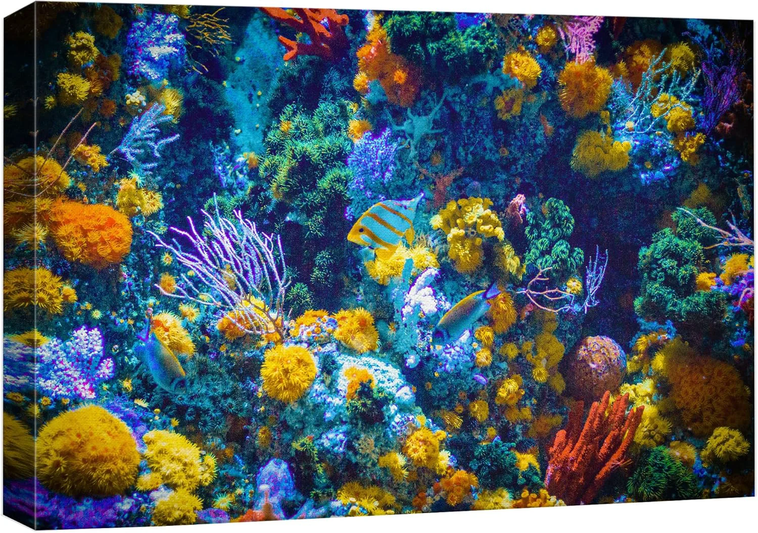 Modern wall26 Canvas Print Wall Art Vibrant Neon Multicolor Anemone Coral Reef Nature Animals Photography ism Rustic Scenic Landscape Wilderness Earth for Living Room Bedroom Office - 32 x48 Enhanced