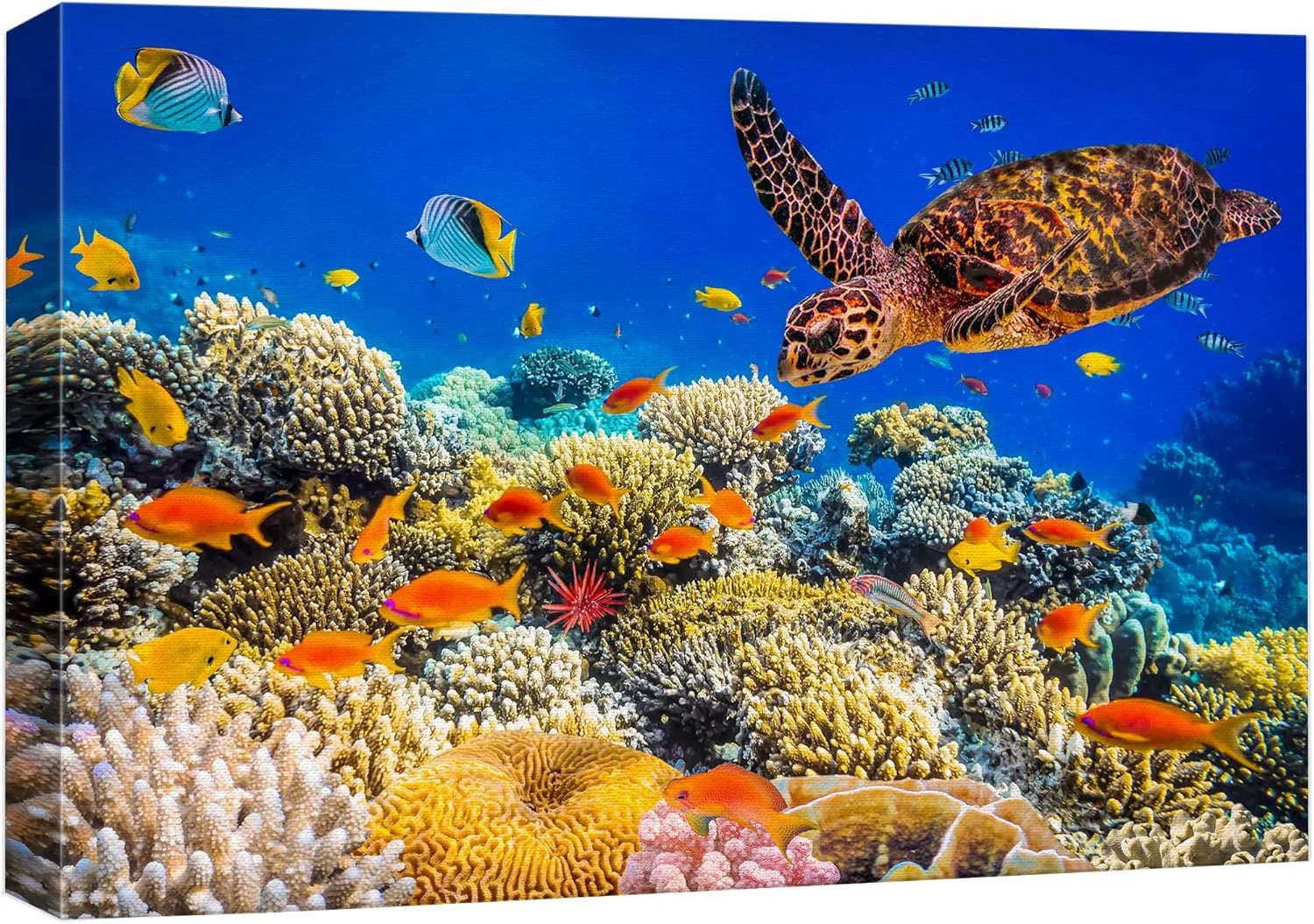 Proven wall26 Canvas Print Wall Art Neon Coral Reef Blue Hippo Tang Fish Turtle Nature Animals Photography ism Rustic Scenic Landscape Wilderness Colorful for Living Room Bedroom Office - 24 x36 Recyclable