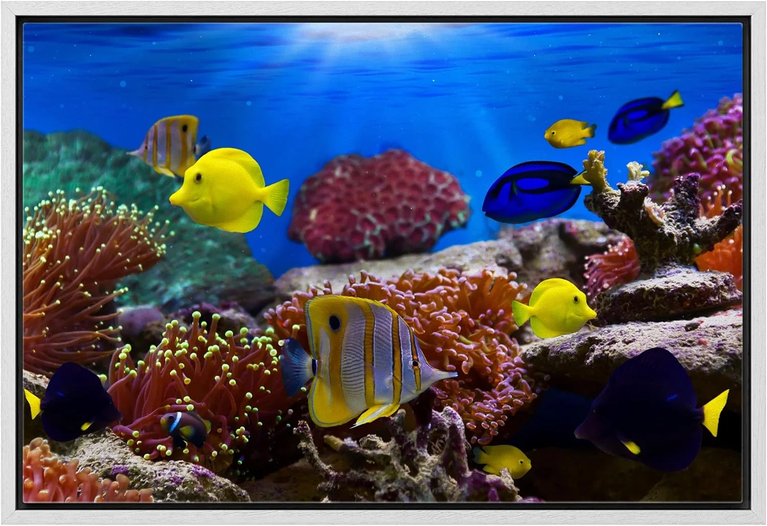 Professional wall26 Framed Canvas Wall Art - Coral Reef and Tropical Fish Under The Ocean Modern Home Art Framed Canvas Prints Gallery Wrap Giclee Printing Ready to Hang - 16 x24 White Fine