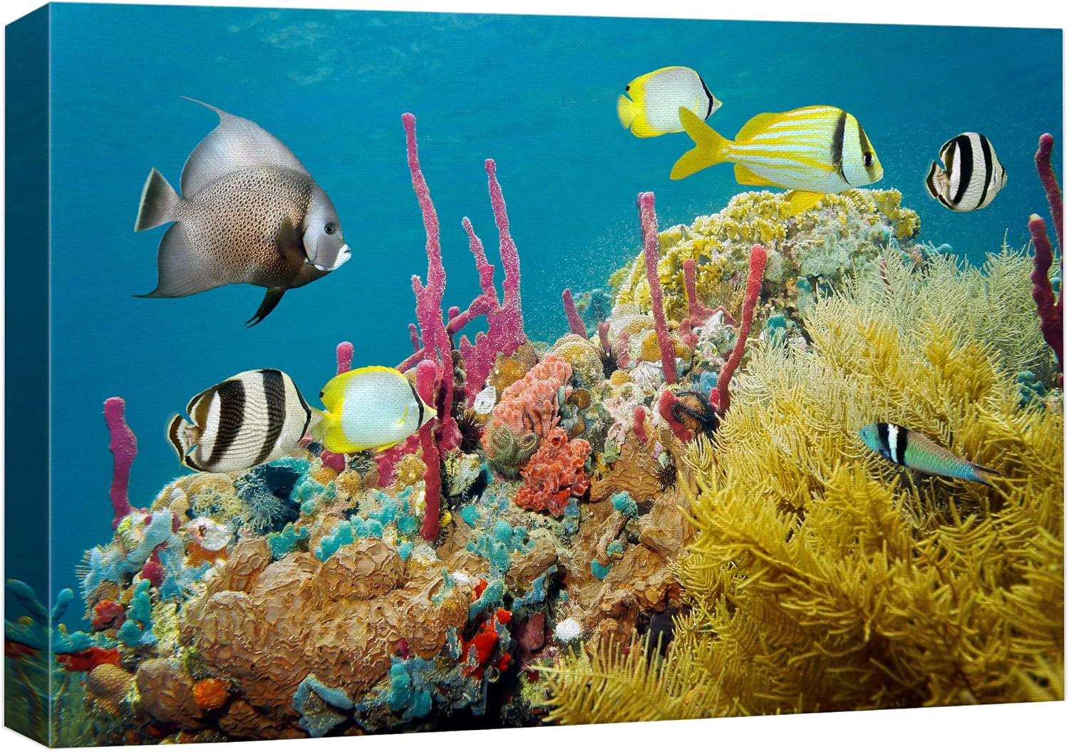 Superior wall26 Canvas Print Wall Art Deep Sea Marine Fish with Coral Reef Nature Ocean Photography ism Nautical Scenic Relax Calm Multicolor Ultra for Living Room Bedroom Office - 32 x48 Functional