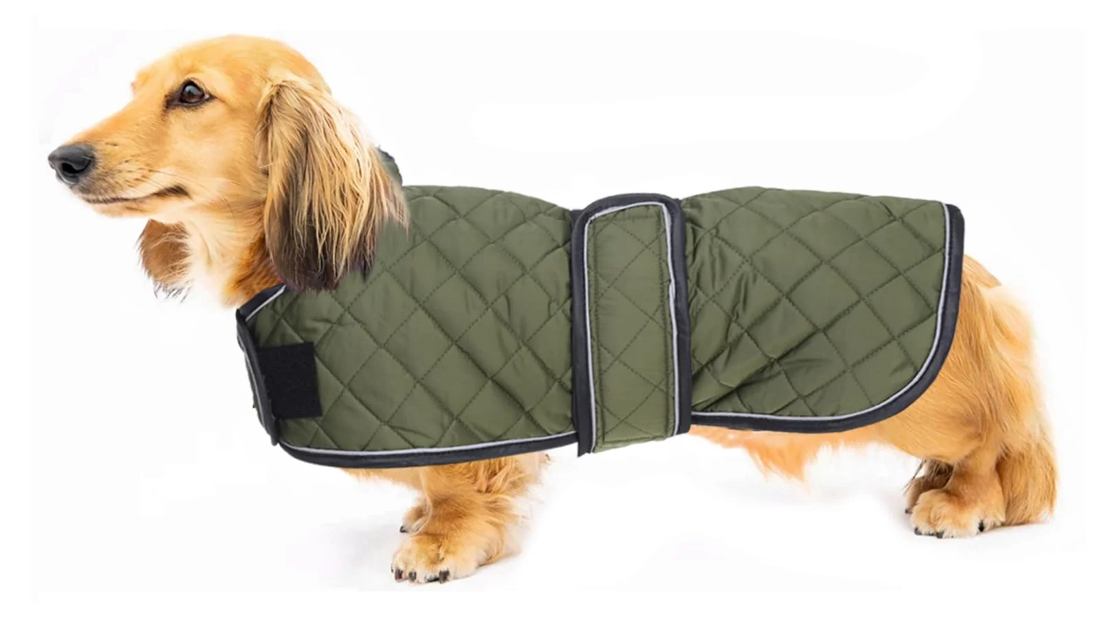 Recyclable Geyecete Warm Thermal Quilted Dachshund Coat - Waterproof Fleece-Lined Dog Winter Coat Army Green S Soft