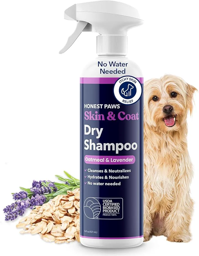 Enhanced Honest Paws Dog Dry Shampoo - Waterless No Rinse Spray Formula Reducing Itch Cleanse Hydrate Nourish Dry Skin and Smelly Coat Help Decrease Odor Shedding and Allergies - Oatmeal Lavender - 16 ozAbout ThisOverview First-Class
