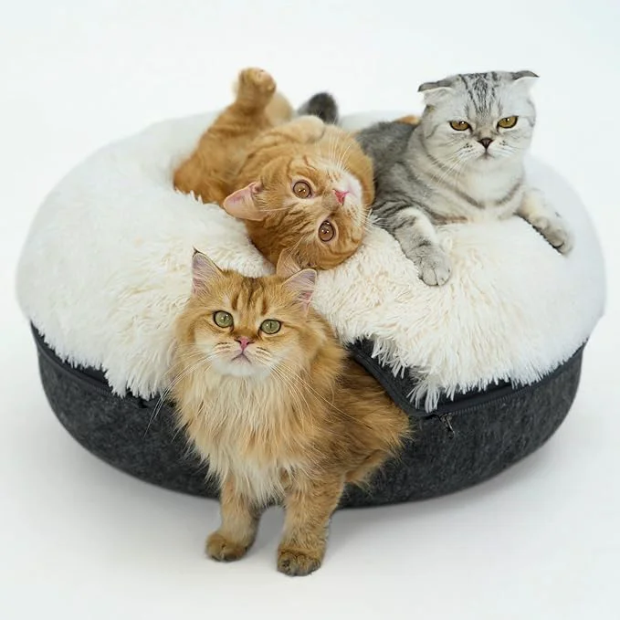 World-Class CATTASAURUS Peekaboo Cat Cave for Multiple Large Cats Up to 30-45 Lbs Fluffy Cat Beds for Indoor Cats Scratch Detachable Washable Tunnel Bed Comfy Donut Cave Dark Gray Large Calming About ThisOverview Prestigious