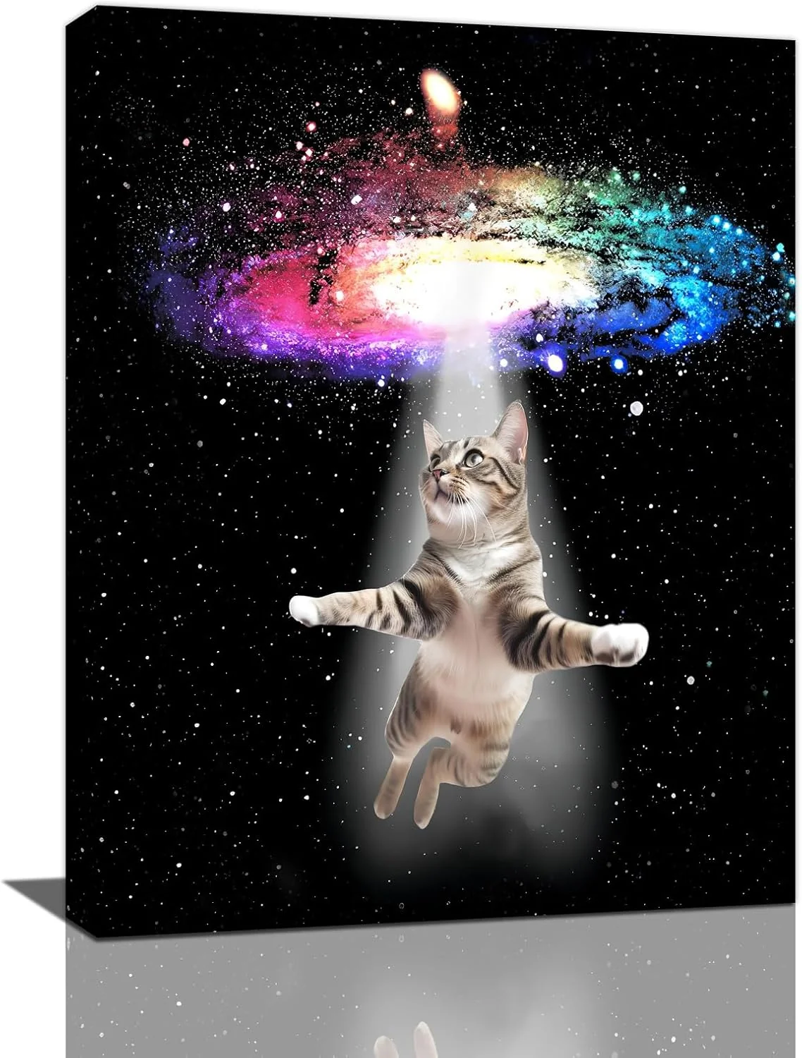 Fine Funny Cat Wall Art Canvas Galaxy Wall Decor Prints Framed Painting Animal Pictures Gifts Artwork for Bathroom Living Dining Kitchen 16 x20 Lightweight