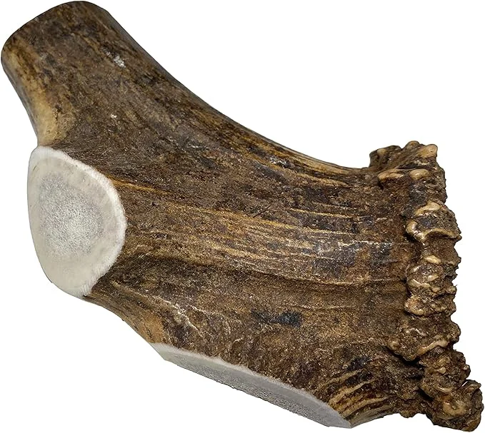 Elite Giant Split Single Pack for 75 lb Dogs Premium Grade Elk Antler for Dogs 1 Piece Sourced in The USAAbout This Professional