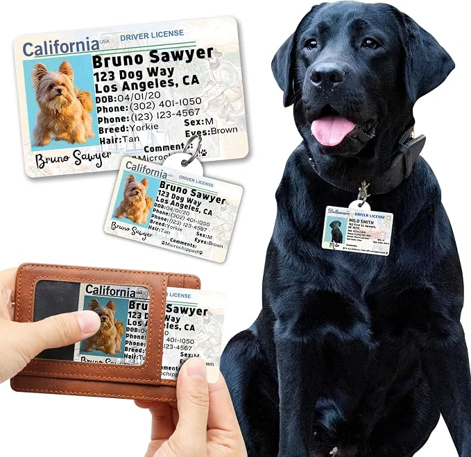 Advanced PawFurEver Personalized Dog Driver License ID Tag Specialty
