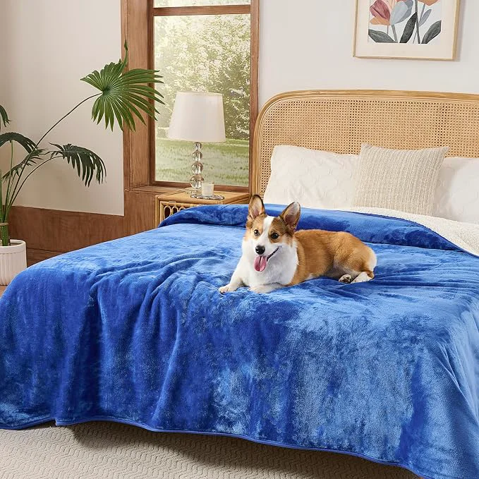 Minimalist Sunheir Waterproof Blanket for Queen Size Bed Exclusive