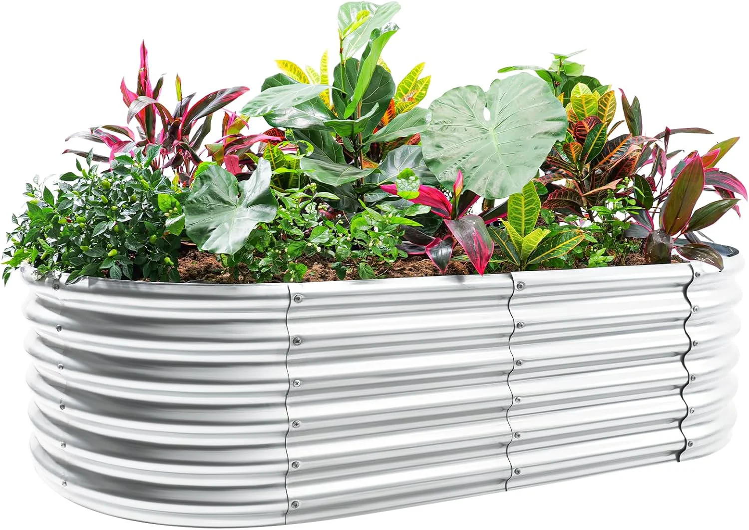 Casual Land Guard 4×2×1.5ft Galvanized Raised Garden Bed Kit Galvanized Planter Garden Boxes Outdoor Oval Large Metal Raised Garden Bed for Vegetables……… Classic Silver Sophisticated