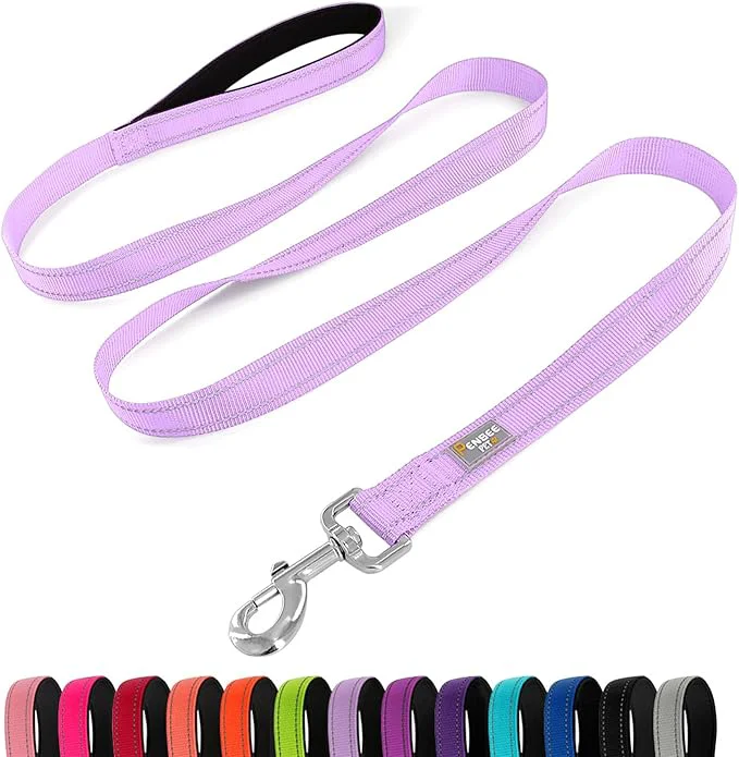 Advanced Reflective Dog Leash 6 FT Padded Handle Nylon Dogs Leashes for Large Dogs LavenderAbout ThisOverview Soft