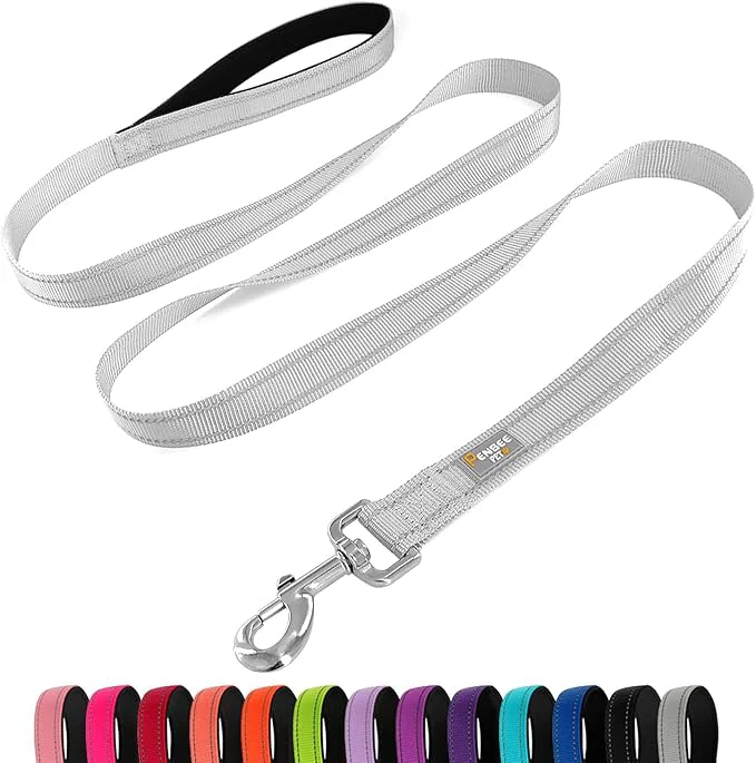 Advanced Dog Leash 6 FT Padded Handle Nylon Reflective Dogs Leashes for Medium Dogs SilverAbout ThisOverview High-End