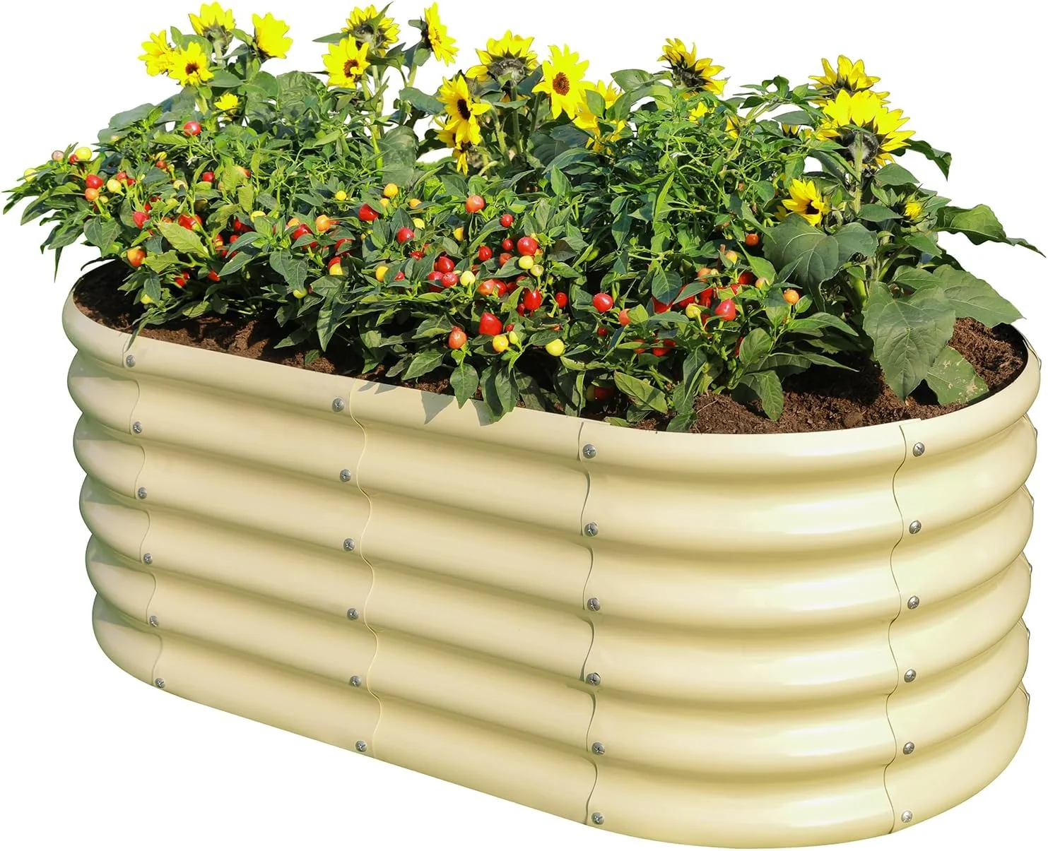Outstanding Land Guard 18 Tall Outdoor Metal Raised Garden Bed Oval Deep Root Planter Box for Vegetables Flowers Herbs 89 Gallon Capacity - Cream Yellow Next-Generation