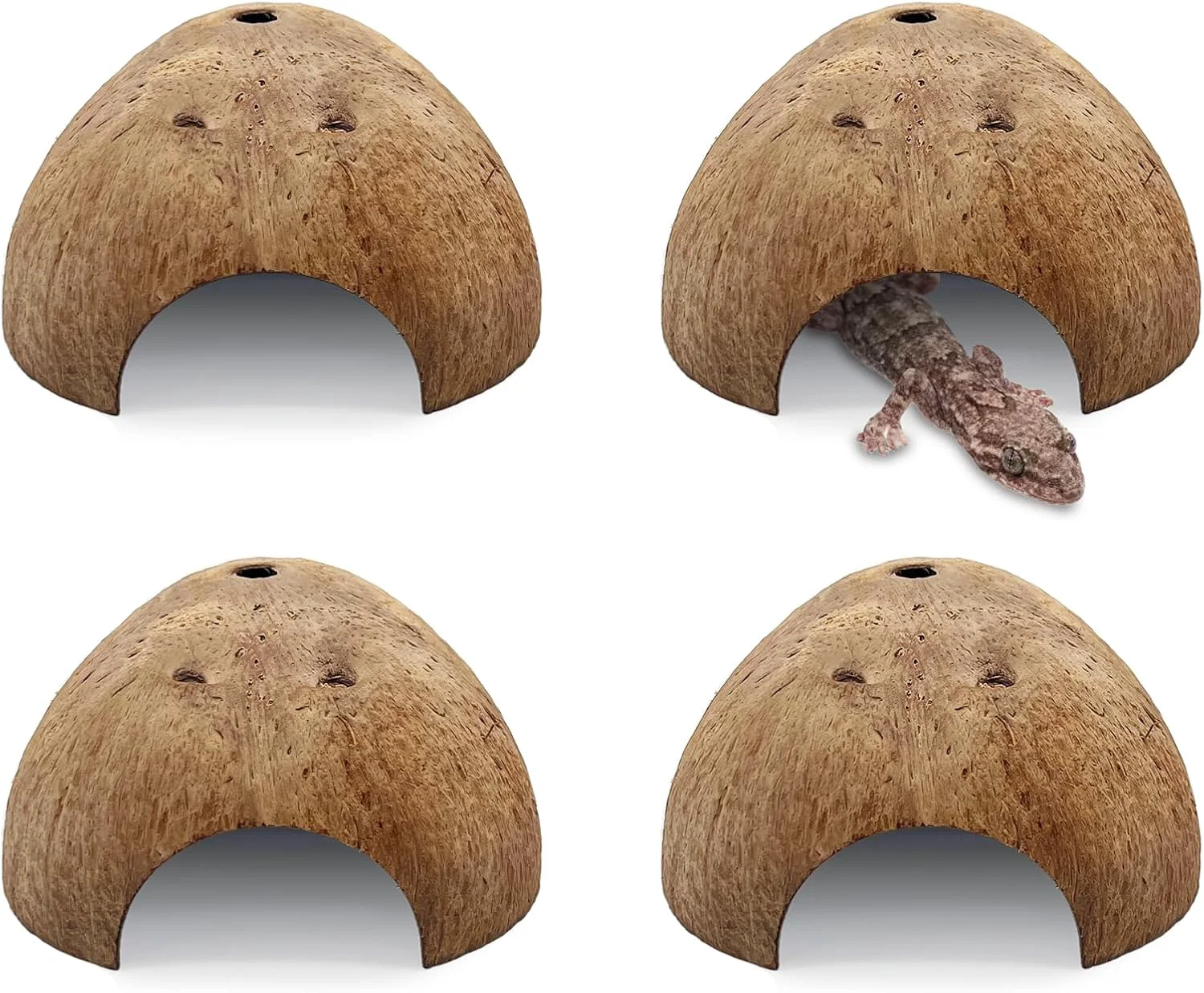 Consistent PINVNBY 4 PCS Natural Coconut Reptile Hideouts Lizard Coco Hut Hermit Crab Hut Aquarium Fish Hide Cave Spider Snail Climber Toys
