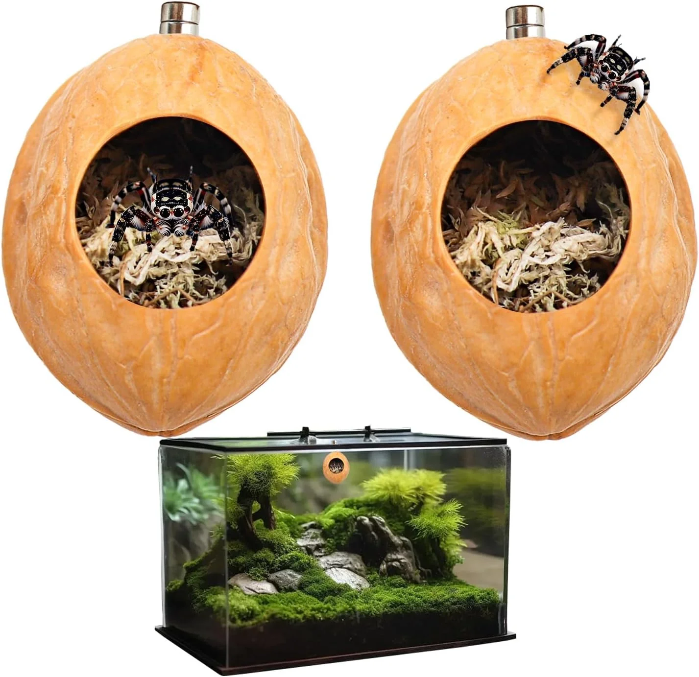 Soft 2 Pack Jumping Spider Enclosure Accessories with Walnut Shell Moss and Magnet Natural Material Jumping Spider Hide Green