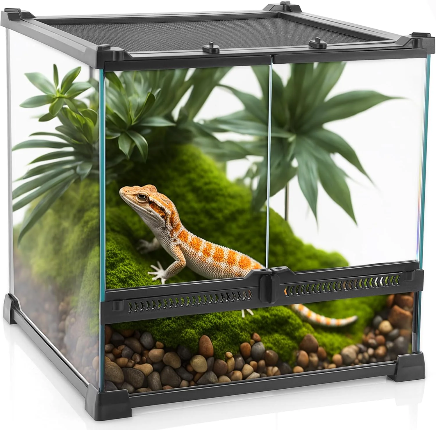 Traditional Mini Reptile Glass Terrarium 12 x12 x12 Durable Reptile Habitat Tank with Heat Resistant Aluminum Alloy Frame Double Swinging Doors with no Jam by Sand and Other Debris Original Design