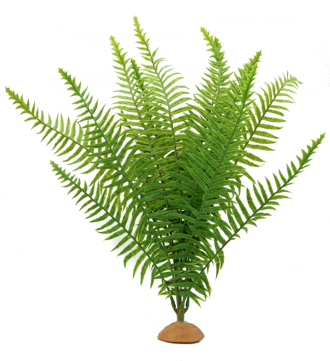 Detailed JIHAQUA Fake Fern Plants Reptile Plastic Terrarium Decor Reptiles Amphibians Tank Accessories for Crested Gecko Leopard Lizard Chameleon Fern-L Sustainable