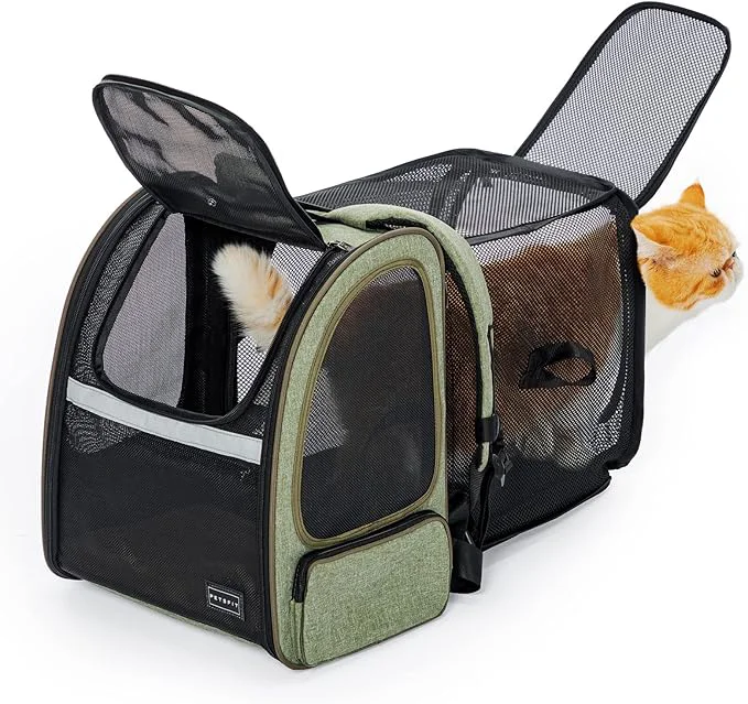 Reliable Petsfit Cat Backpack Carrier Dog Carrier Backpacks Expandable with Great Ventilation Foldable Puppy Backpack Carrier for Travel Hiking GreenAbout ThisOverview Sophisticated