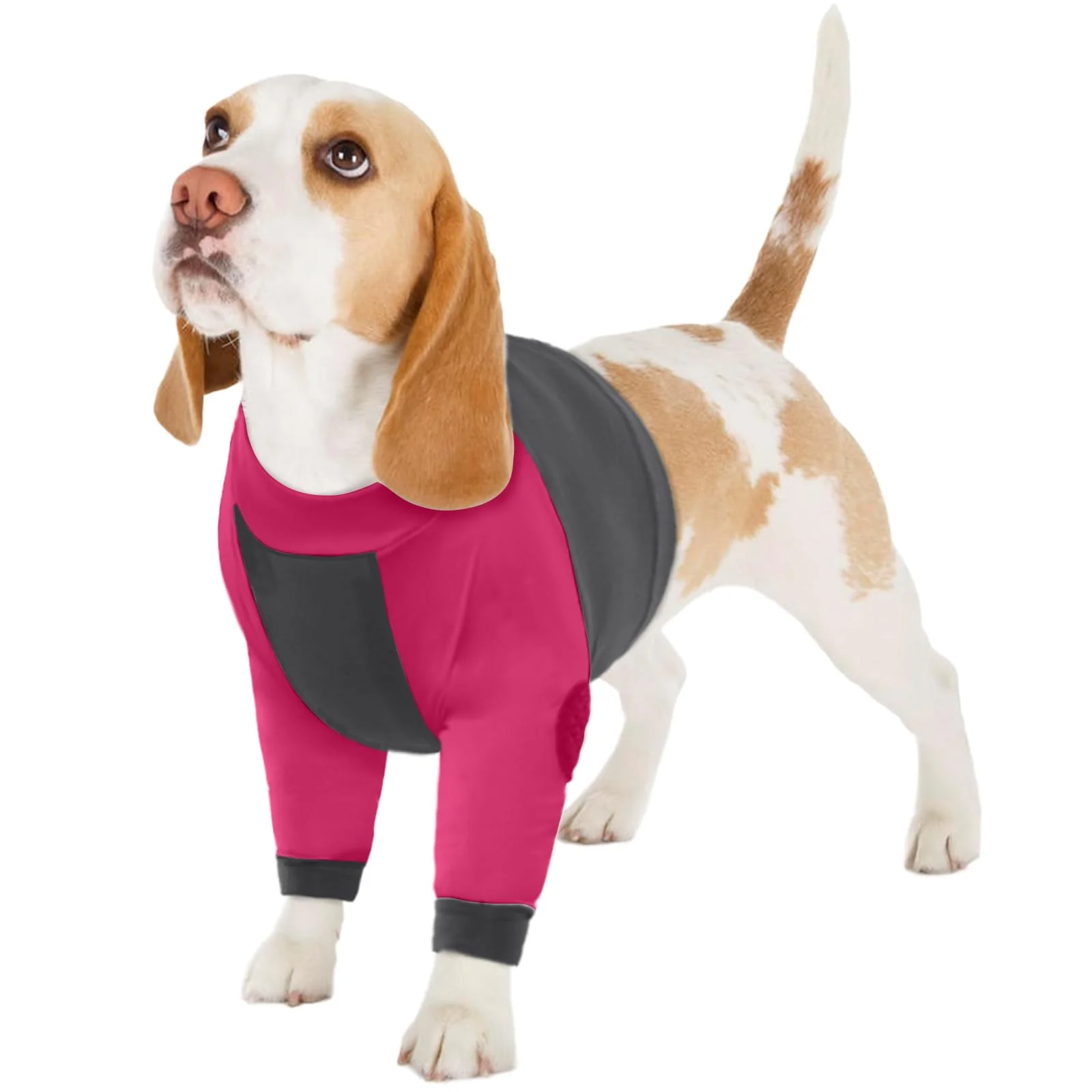 Versatile LeLePet Dog Recovery Suit for Front Legs Licking Prevention Elbow Protection Selected