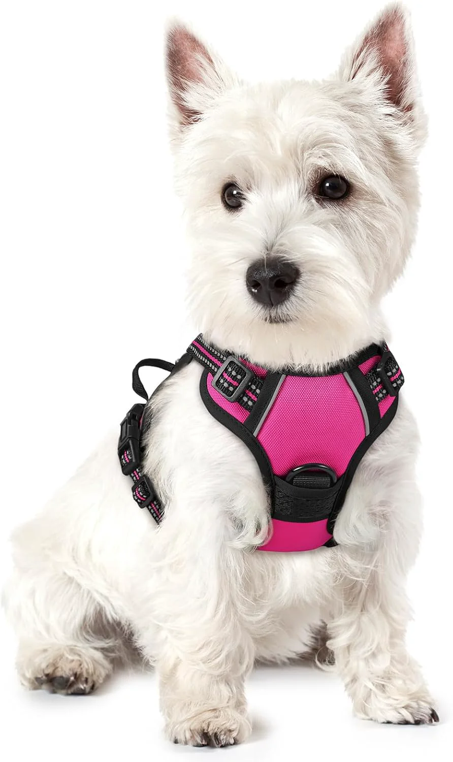 Smart rabbitgoo Dog Harness No Pull with 2 Leash Clips Adjustable Soft Padded Reflective Oxford No Choke Pet Vest with Easy Control Handle for Puppy Hot Pink XS Original Design