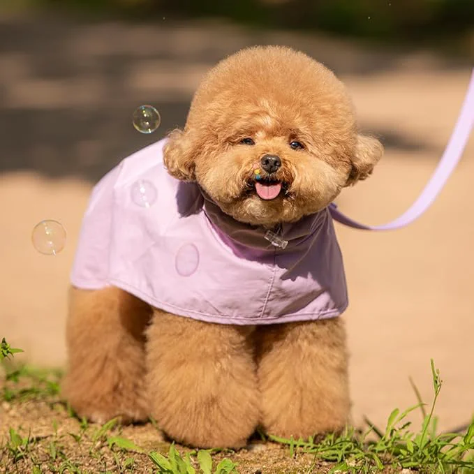 Reusable Stylish Dog Rain Jacket Poncho for Small Medium Dogs – Purple Reversible Waterproof Coat with Clear Hood Visor Reflective Safety Stripe Lightweight Comfort L About ThisOverview Easy-to-Use